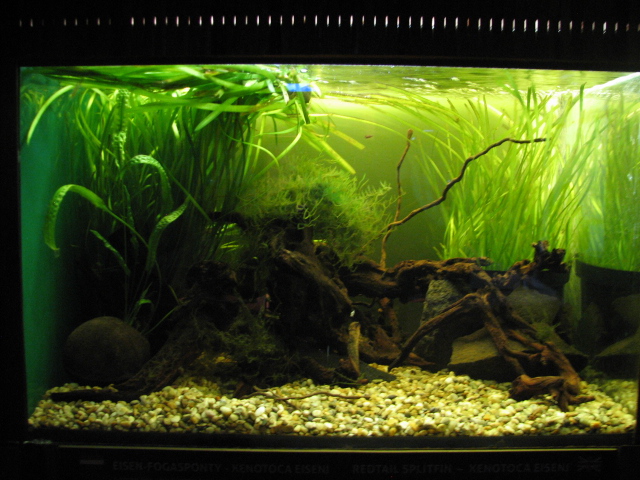 A smaller tank