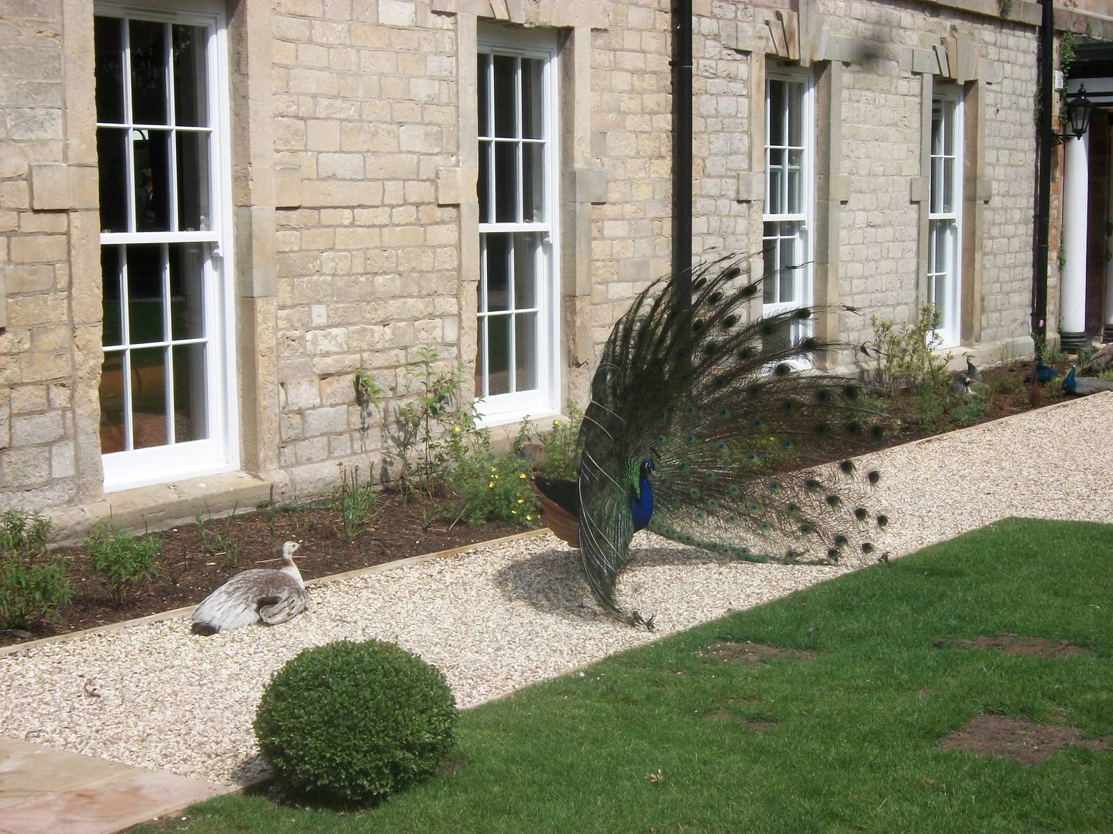 A stately scene, 7th July 2014