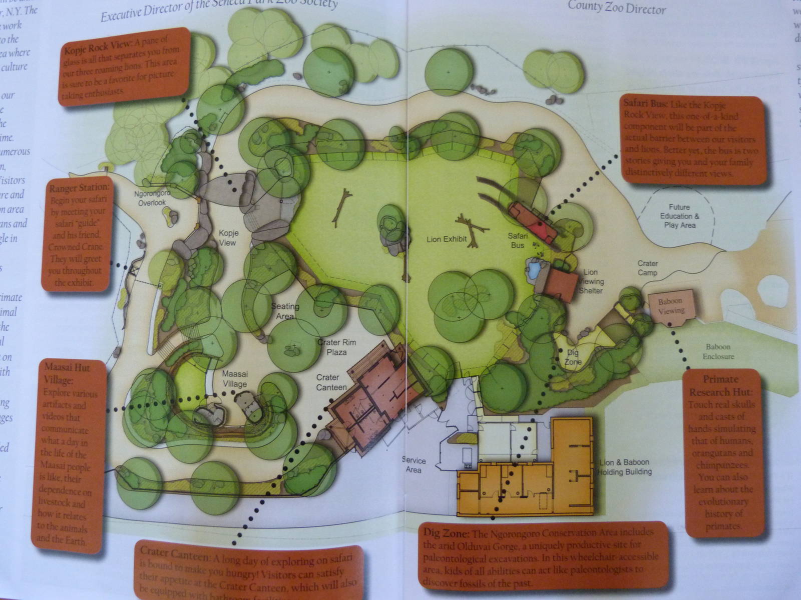 A Step Into Africa Layout