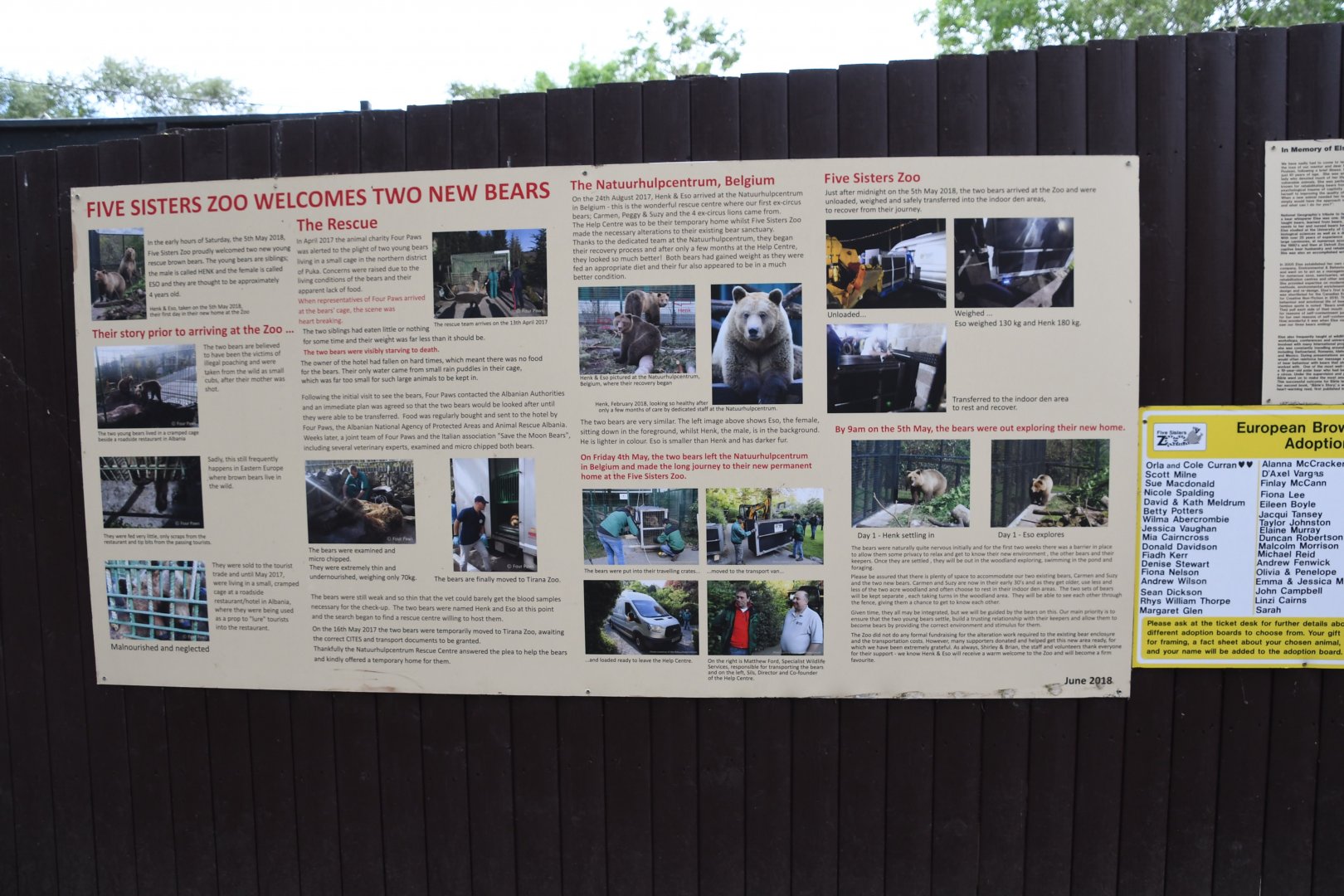 A story of two bears