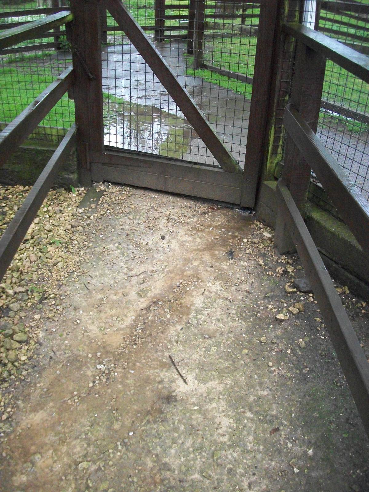 A stream through the door of the walk-through aviary, 10th May 2014