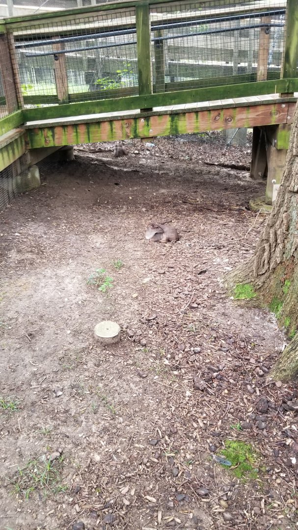 A surprise in the African aviary!