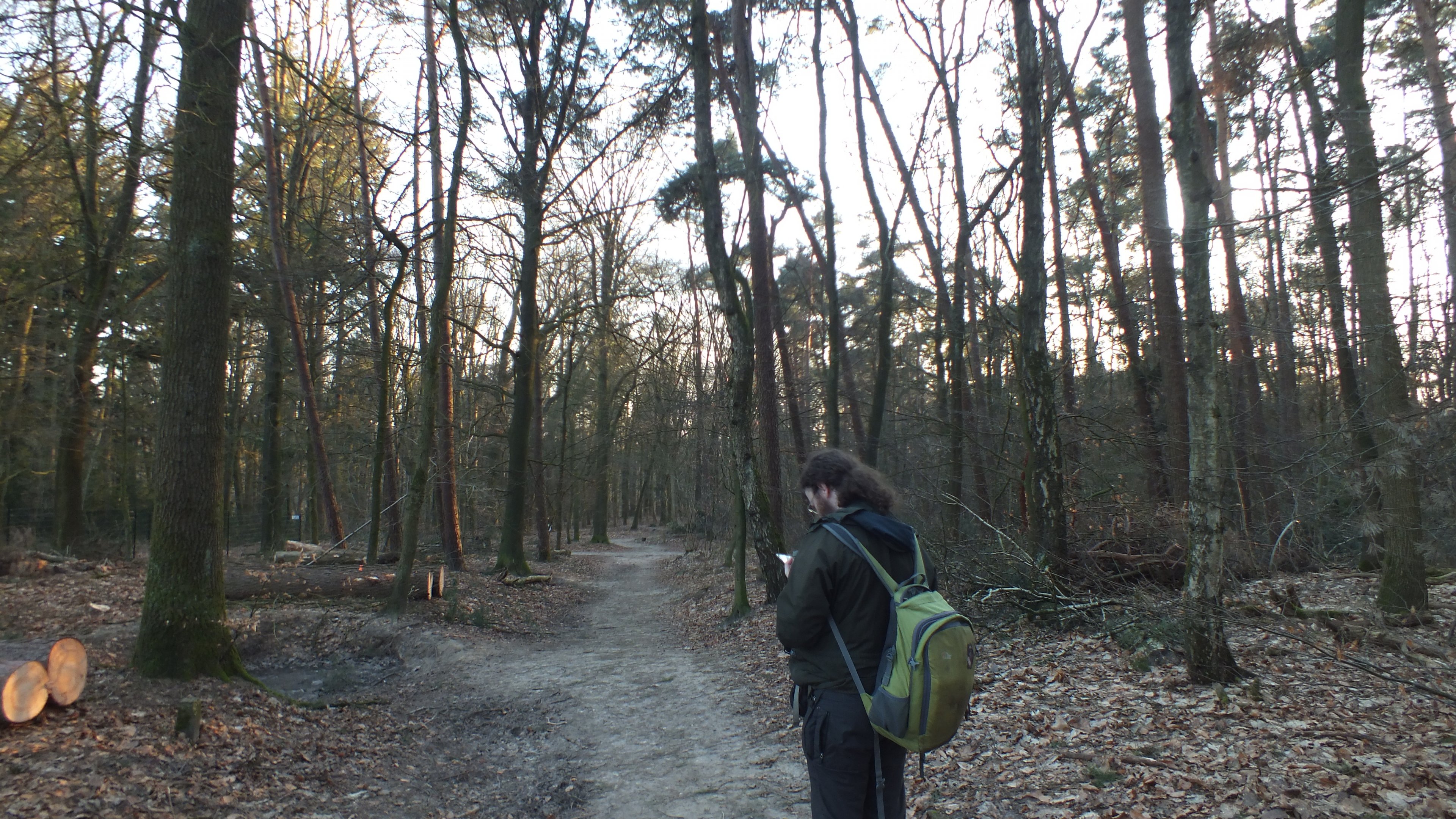 A Tea-Loving Dave walking through the forests of Park Zijpendaal