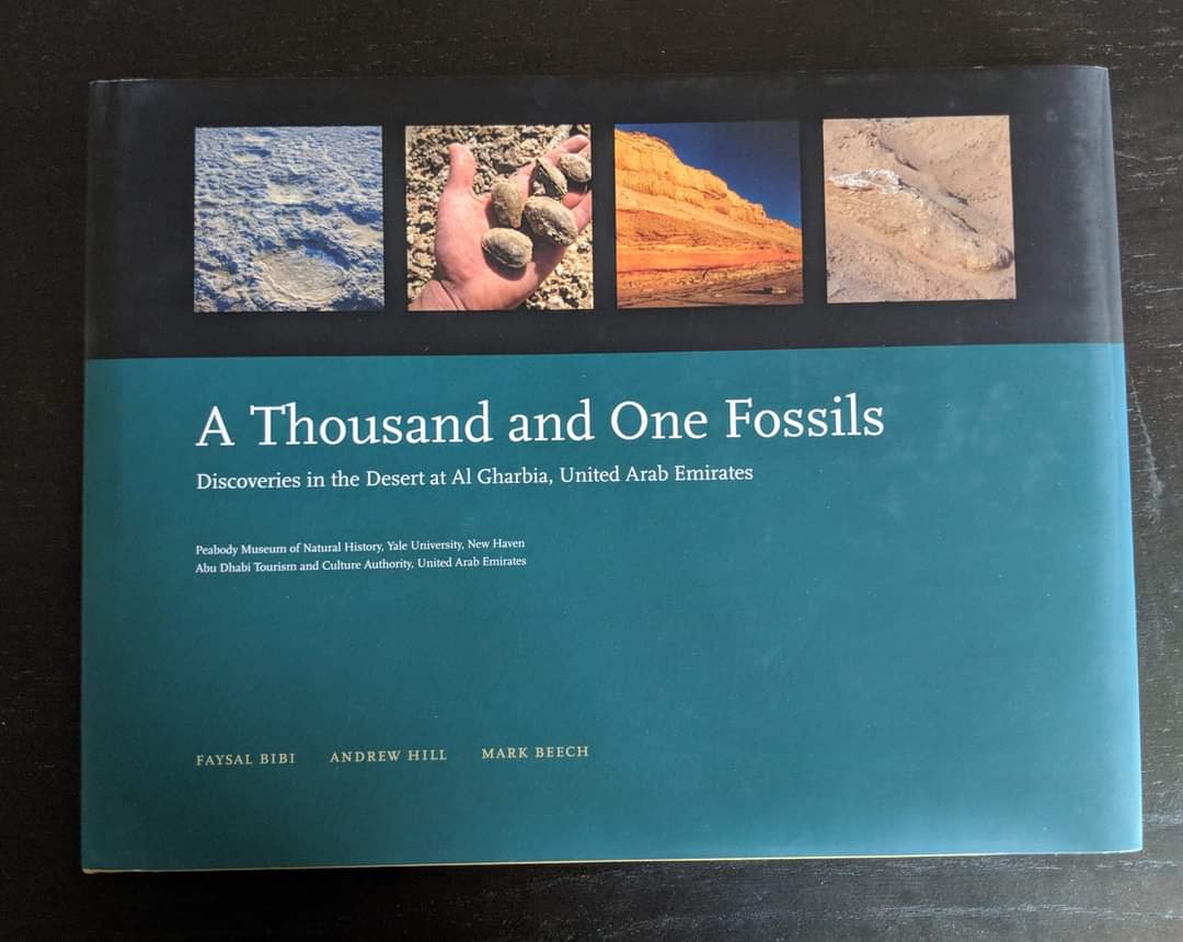A Thousand and One Fossils