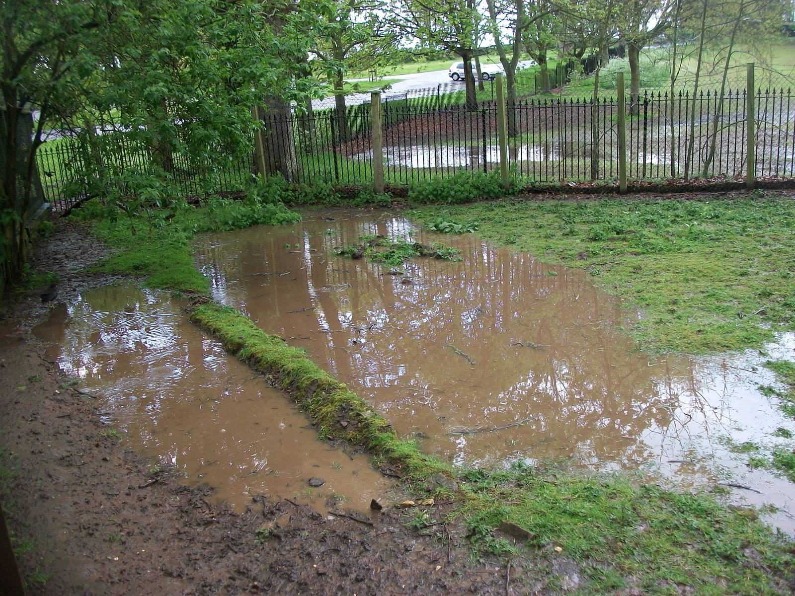 A trifle moist in the corner of the Pit Pond Paddock too, 10th May 2014