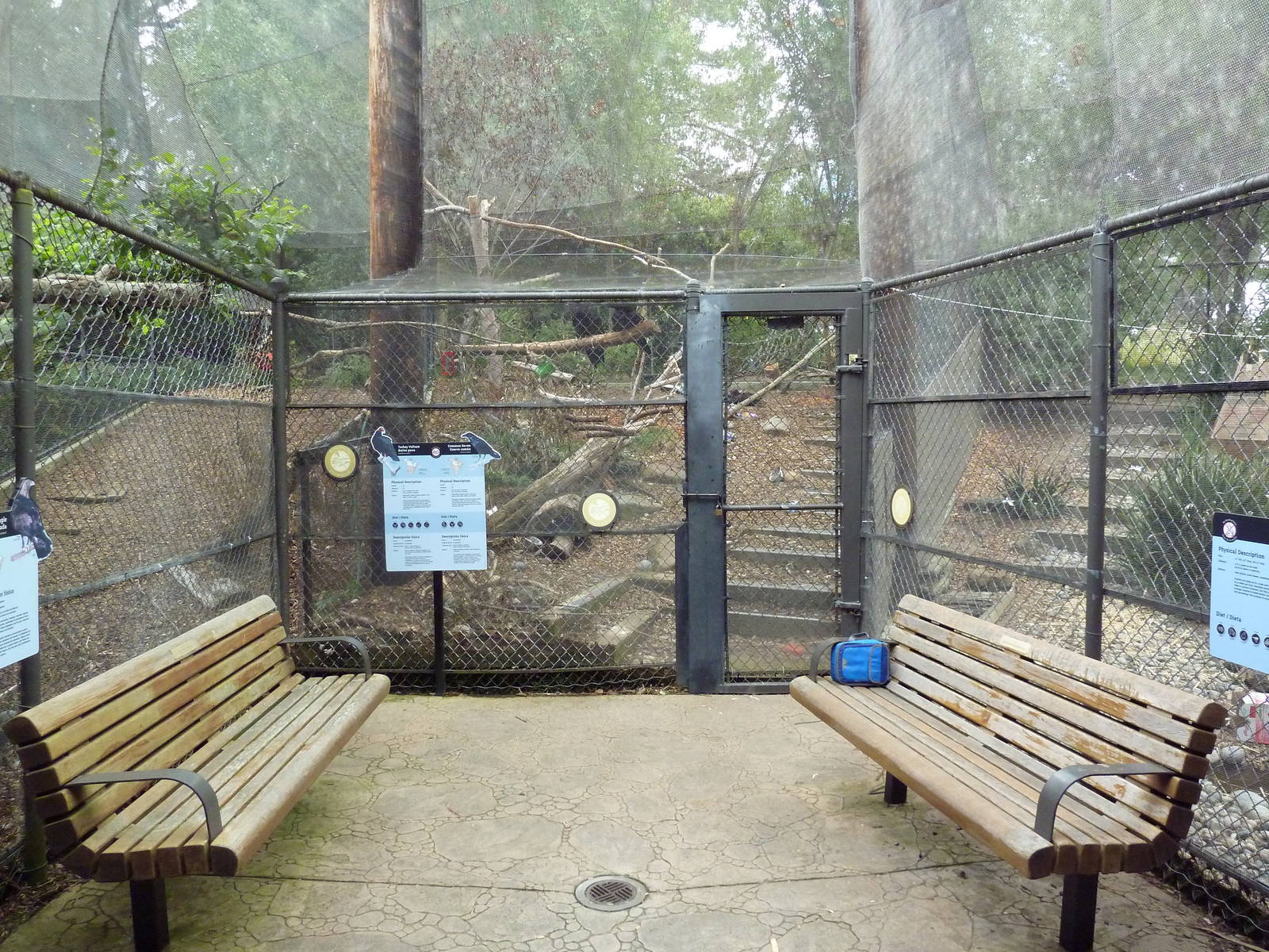 A Trio Of Cages (4 Species)