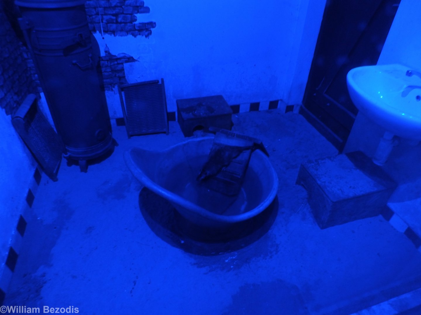 A Typical Australian Bathroom, Complete with Water Rat