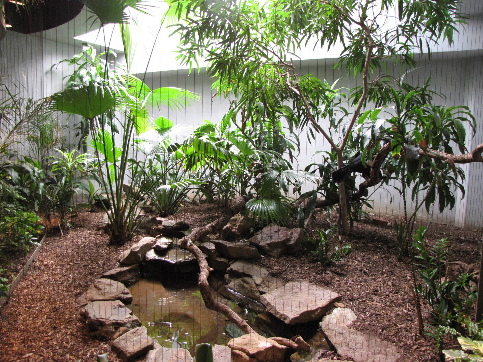 A Typical Aviary