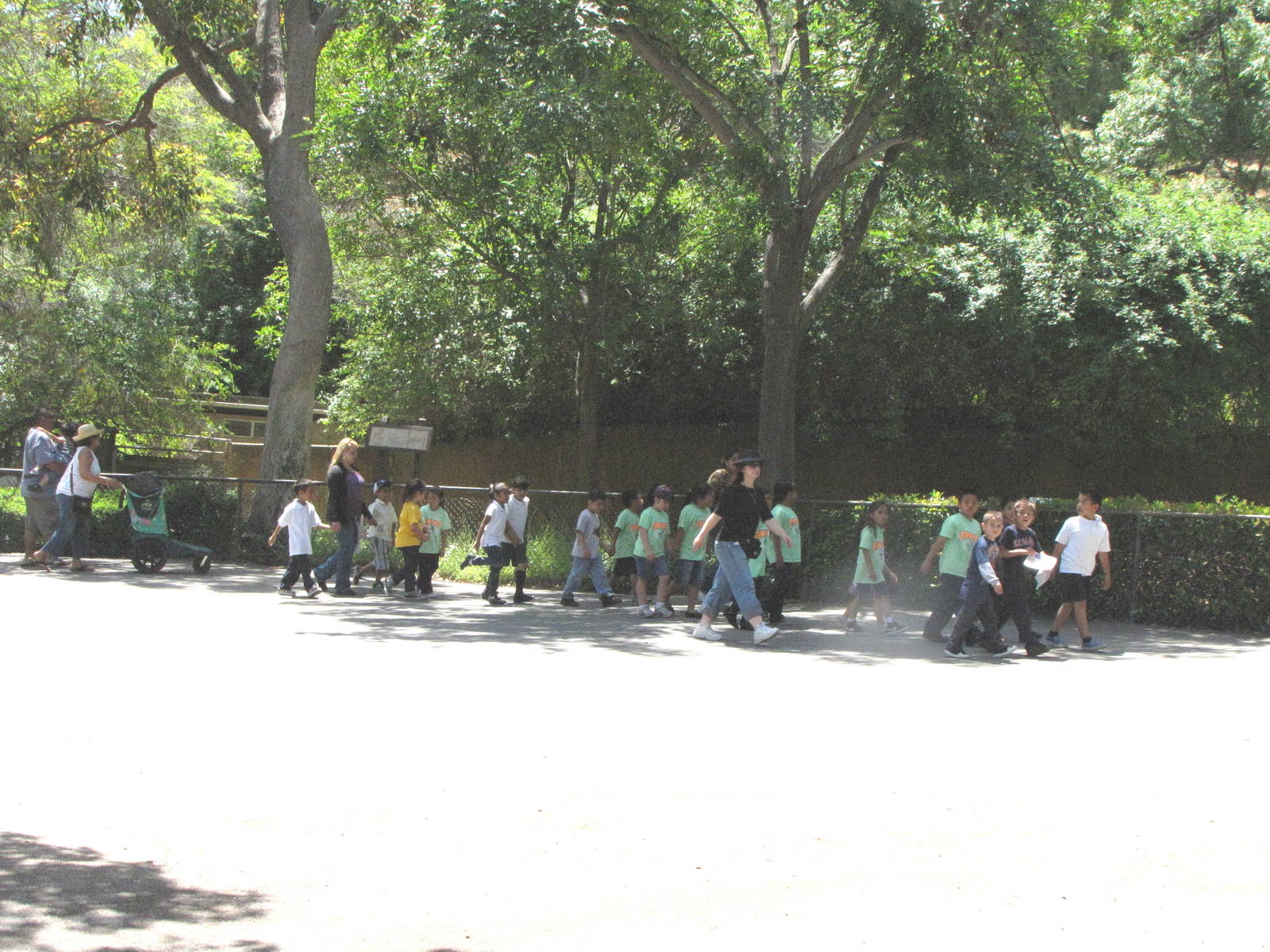 A Typical Weekday Filled With School Children