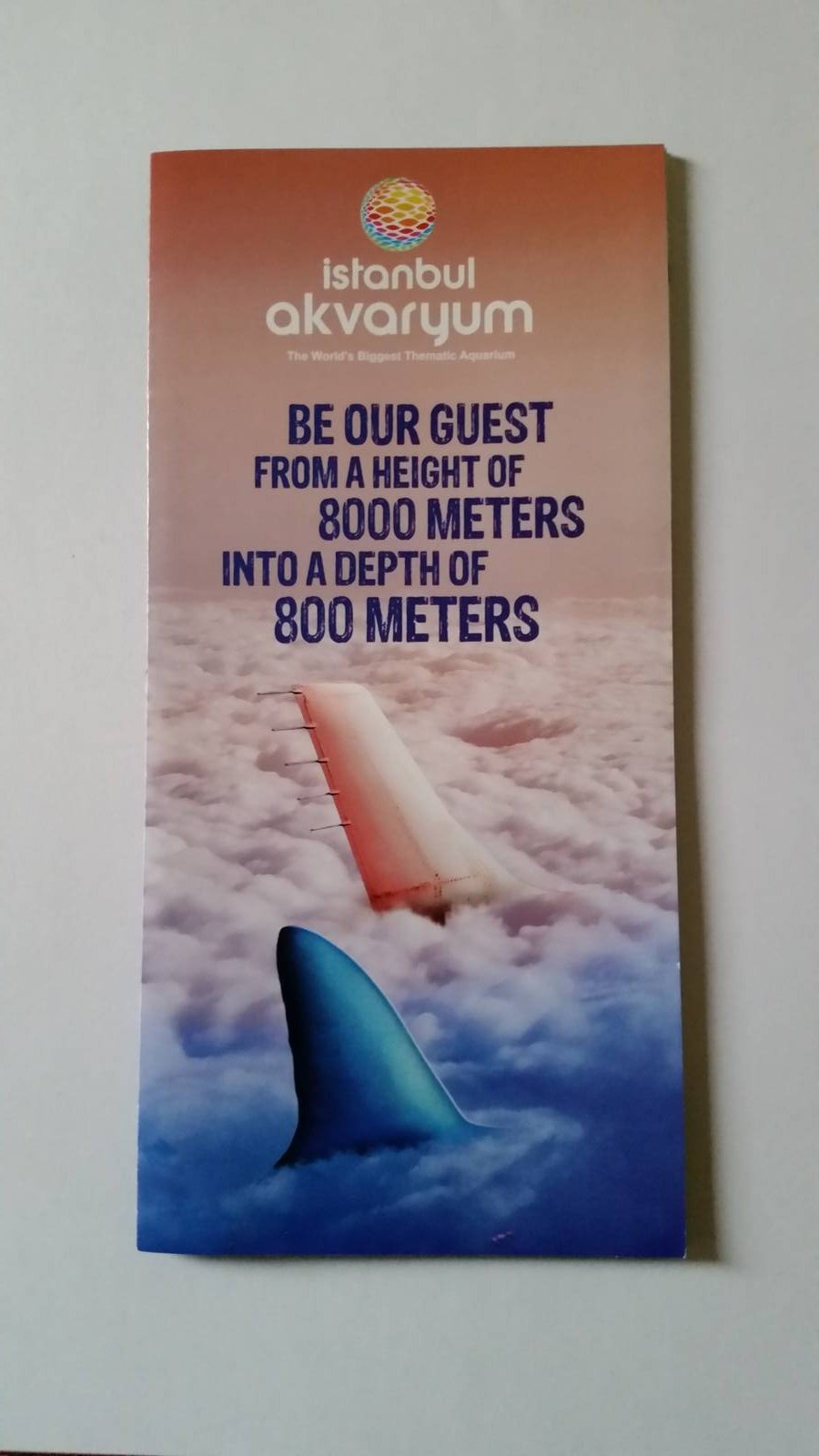 A unique leaflet? July 2014