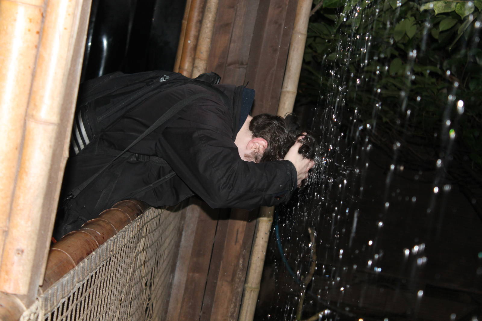 A use for the longhouse aviary