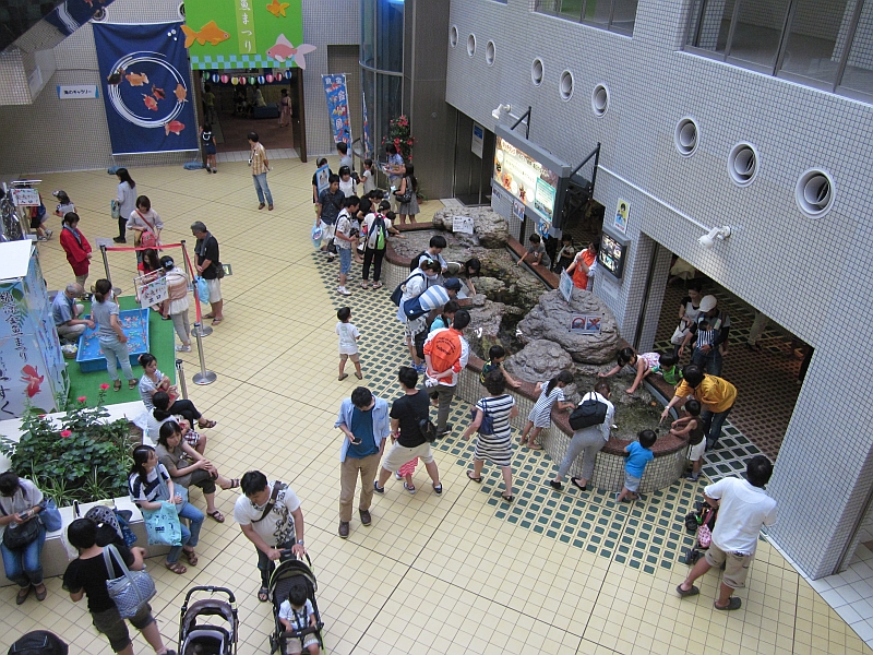 A very busy touching pool