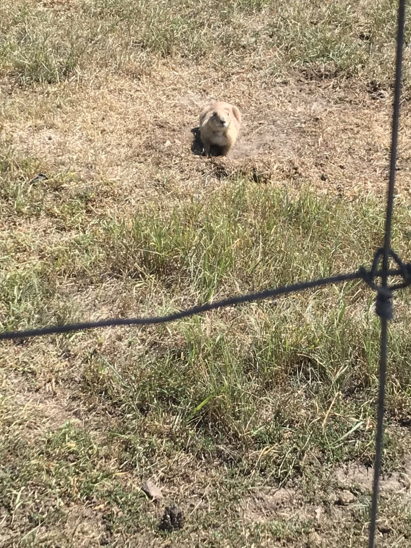 A very troubling sight