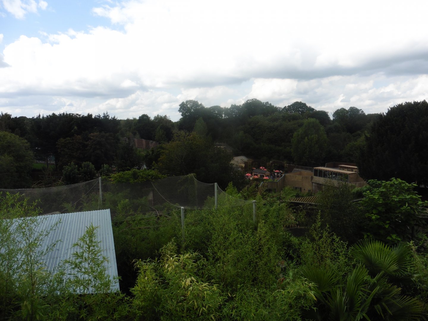 A view across the Zoo