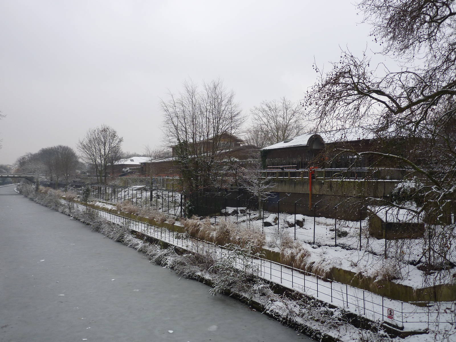 A view from the bridge