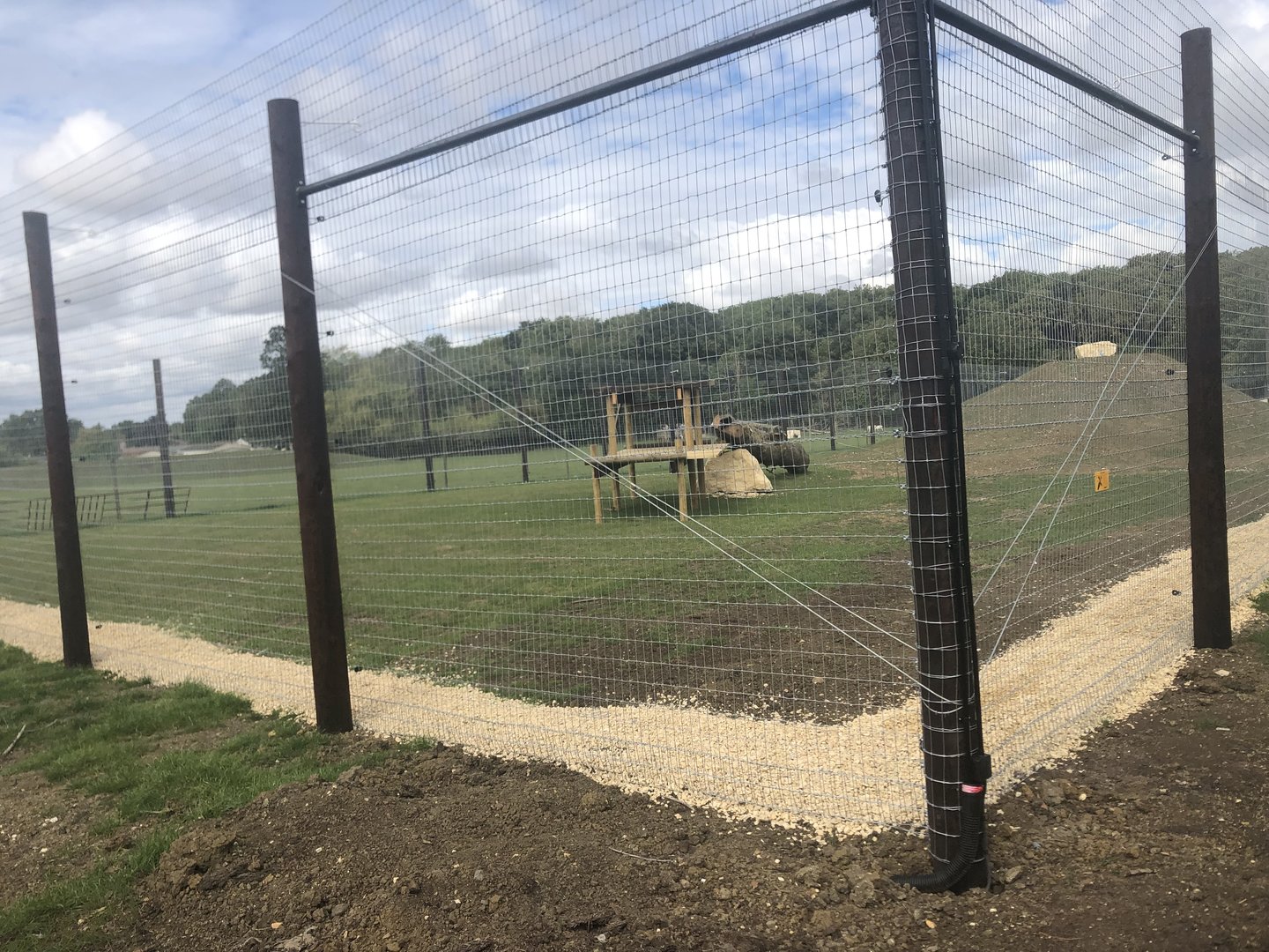 A View of Lion Enclosure