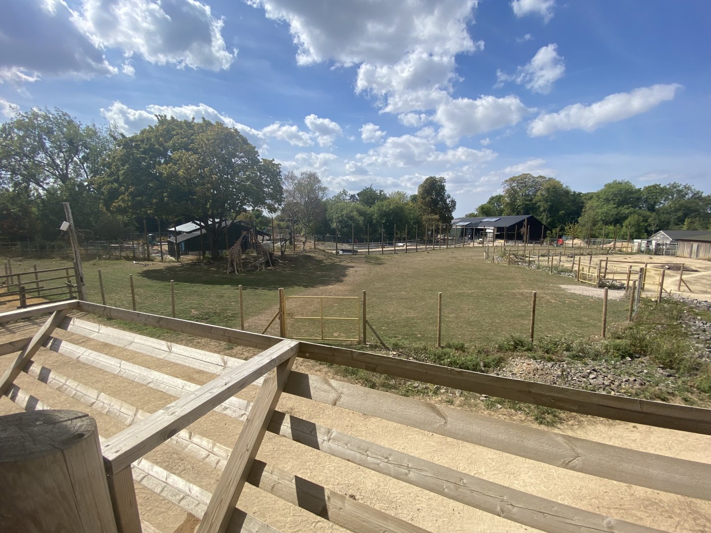A view of mixed savanna and a bit of the C.AF area
