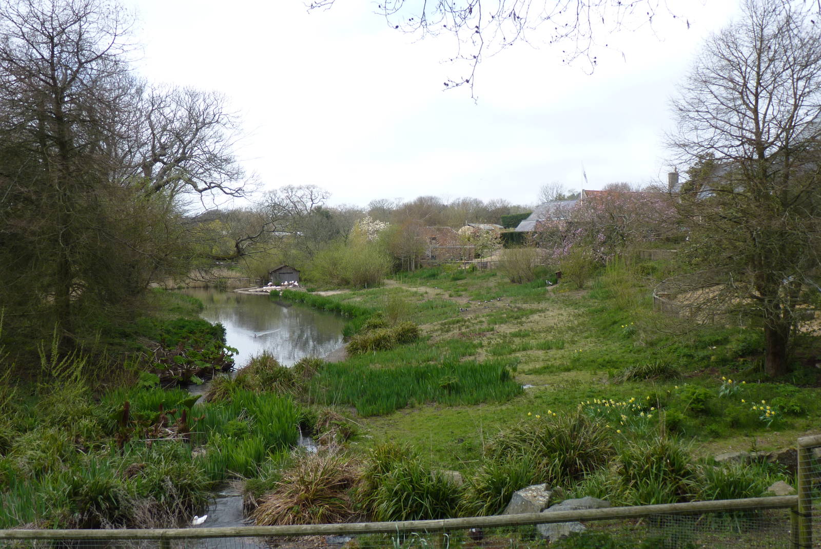 A view of the valley, April 2013