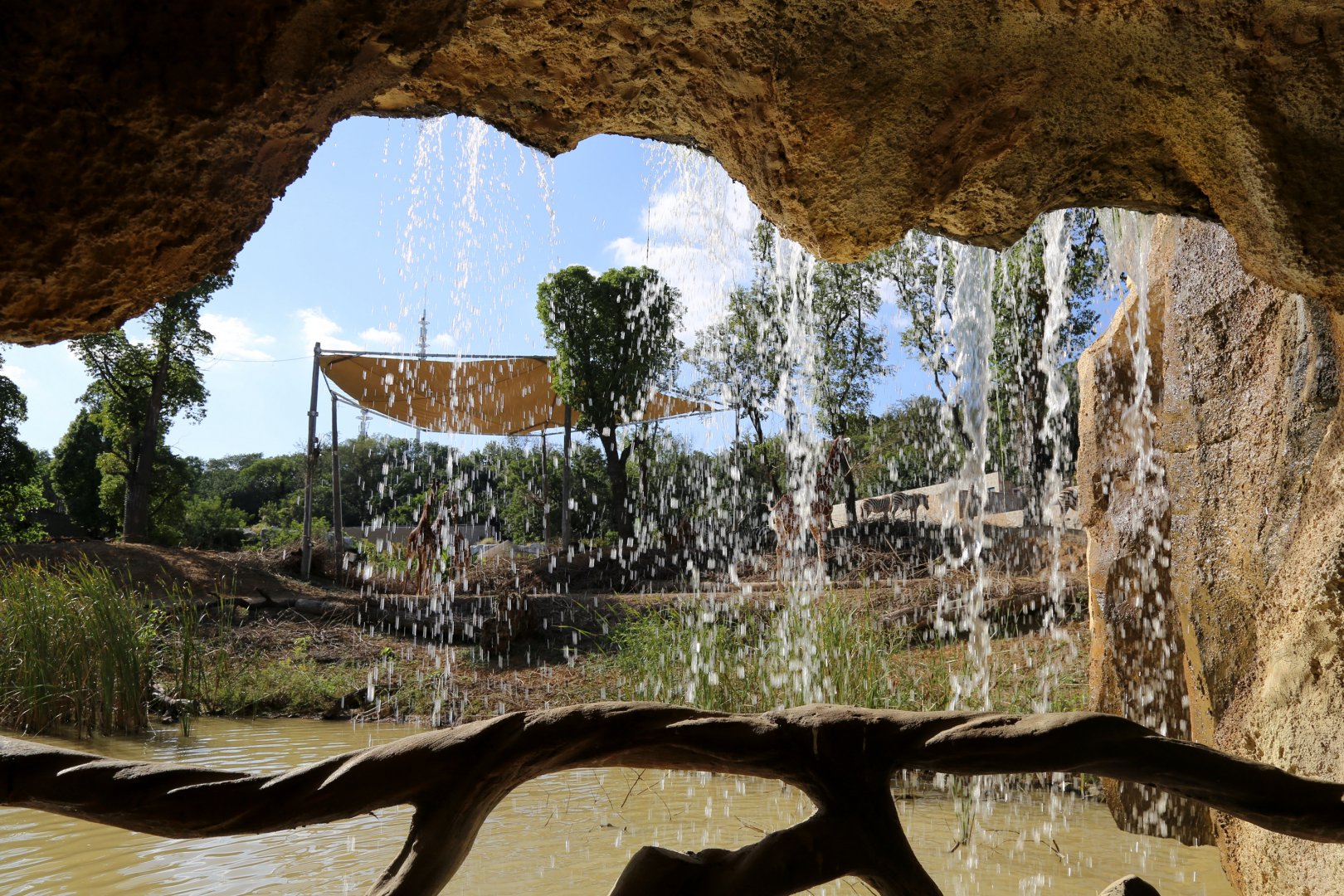 A View Through the Waterfall to the Savanna Exhibit