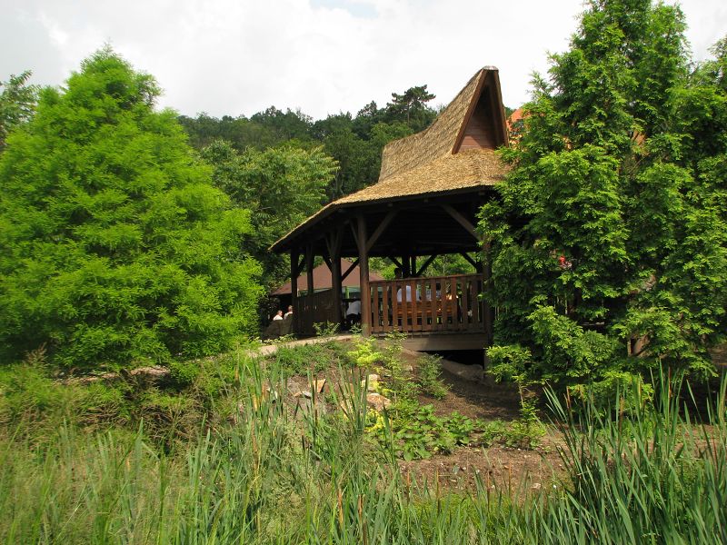 A viewing platform for indian rhino enclosure
