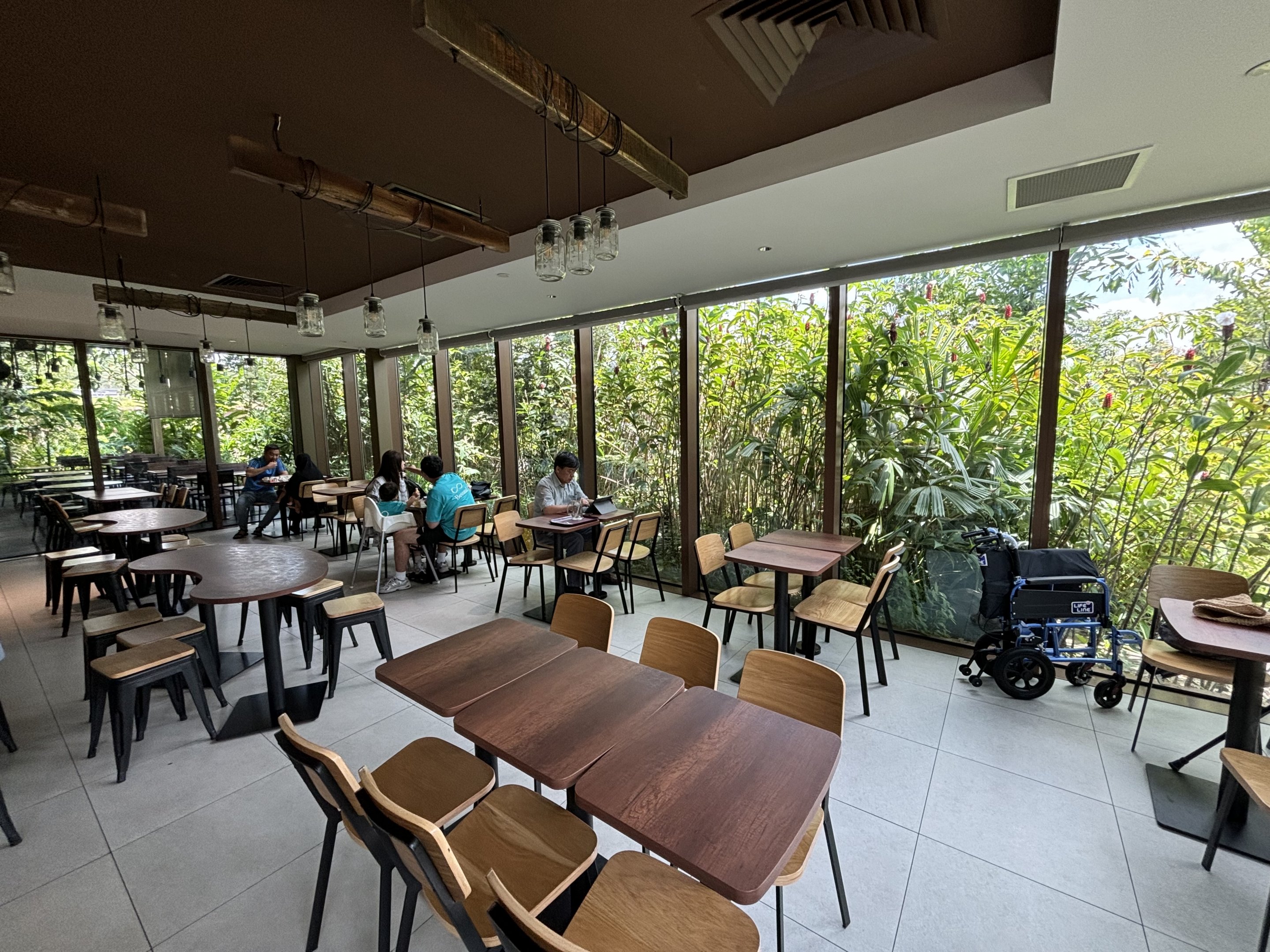 A&W Restaurant + Jungle