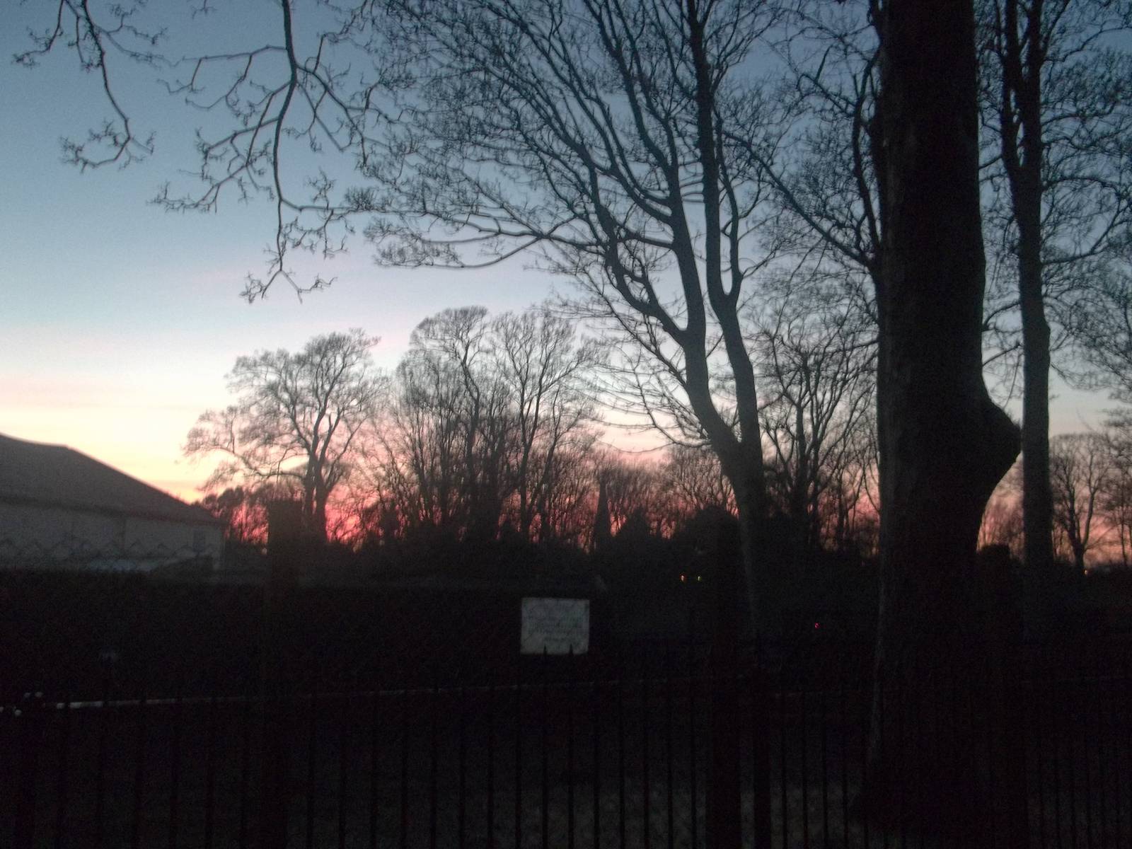 A warm glow over the zoo, 4th January 2015.