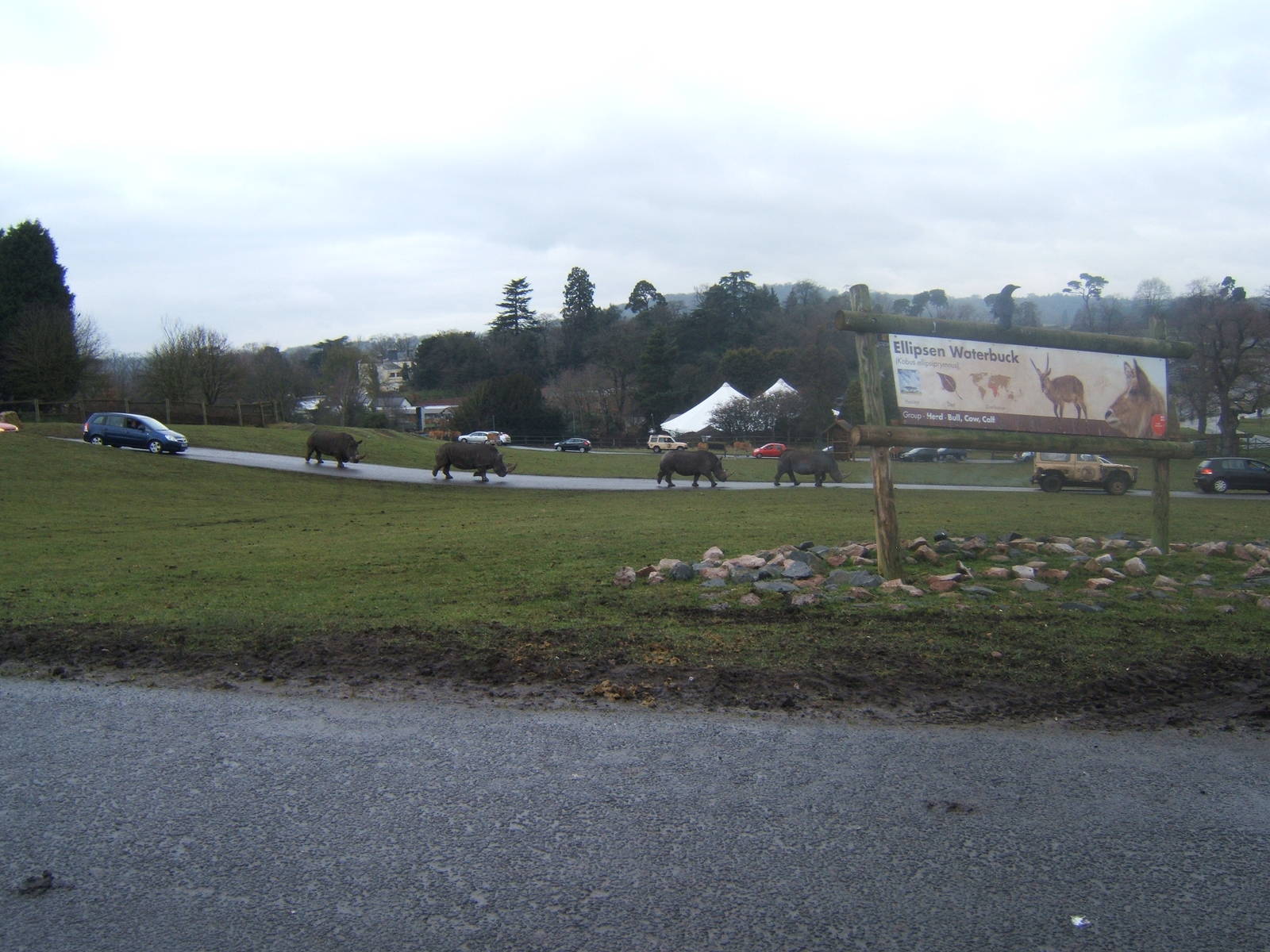 A White Rhino convoy