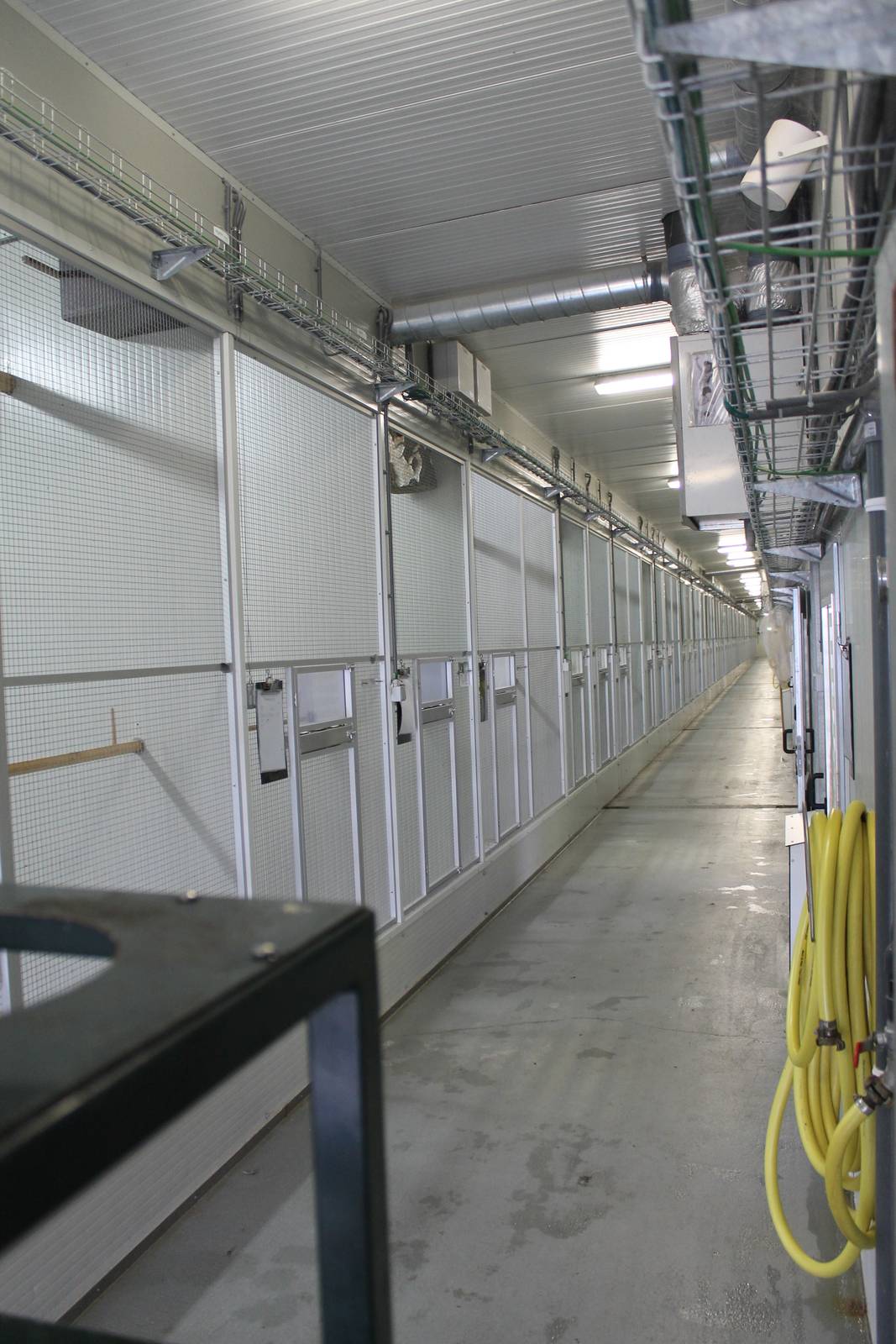 A whole lot of indoor-aviaries