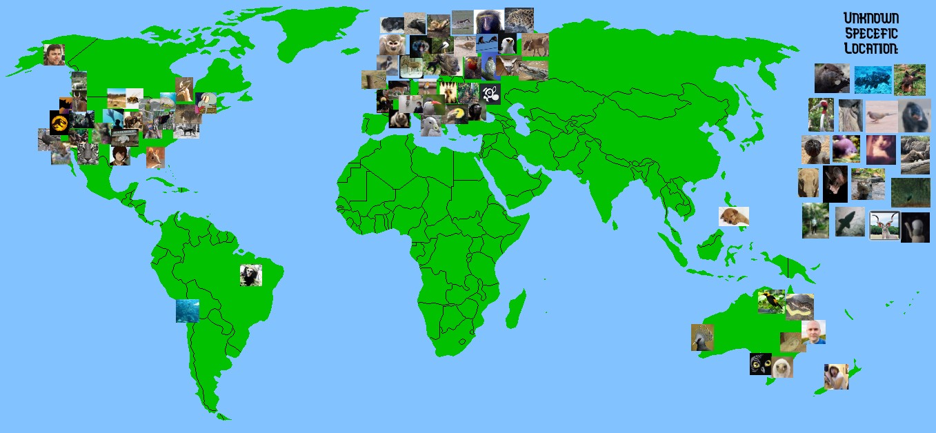 A World Map of What Countries Our Fellow ZooChatters Live In