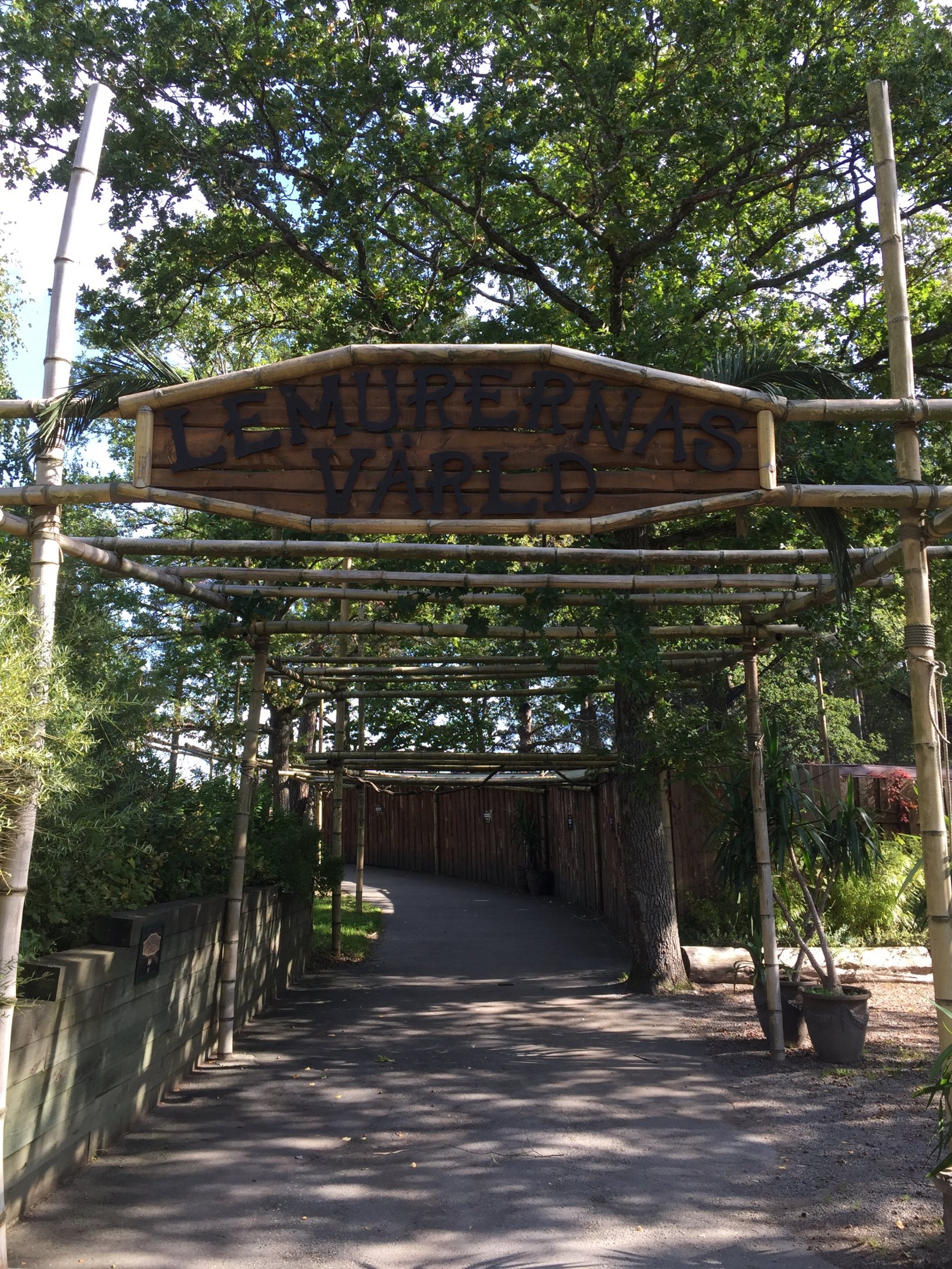 "A World Of Lemurs" entrance.