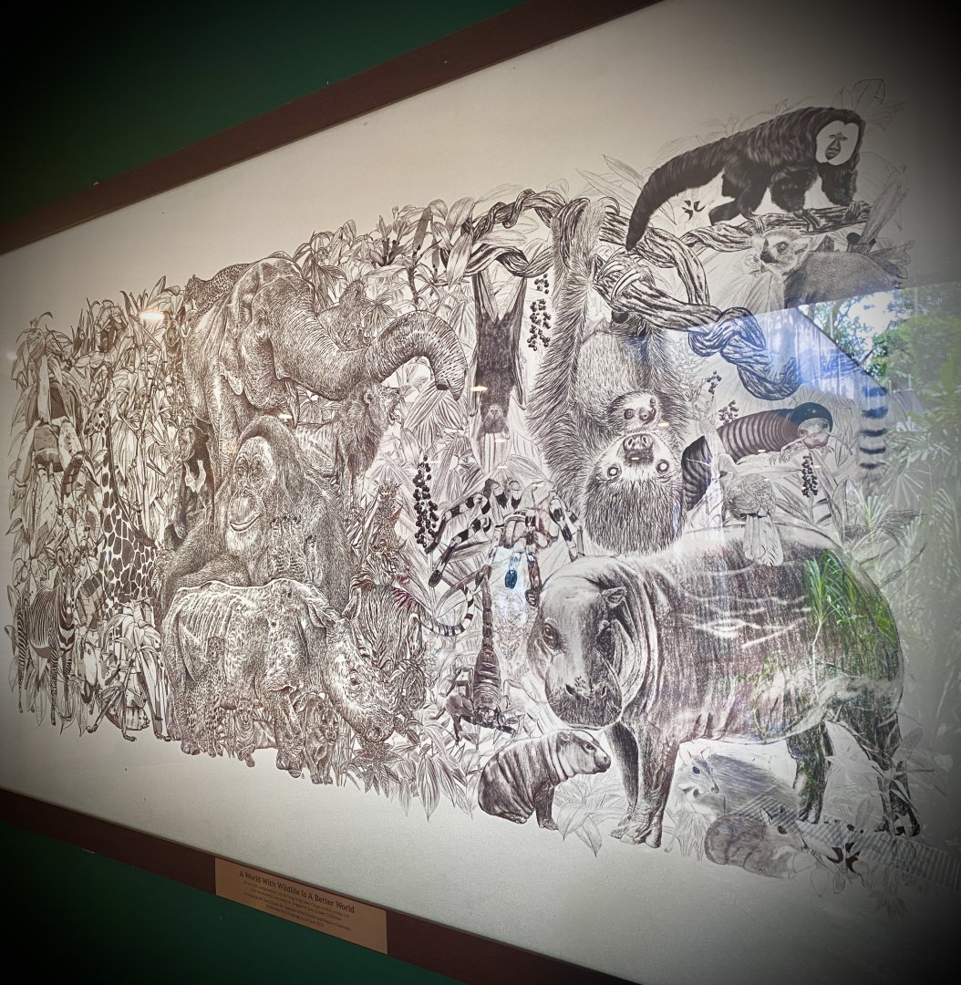 "A World With Wildlife is a Better World"