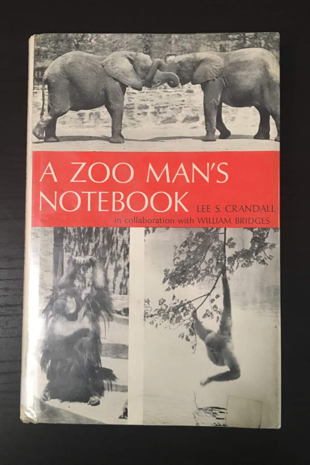 A Zoo Man's Notebook