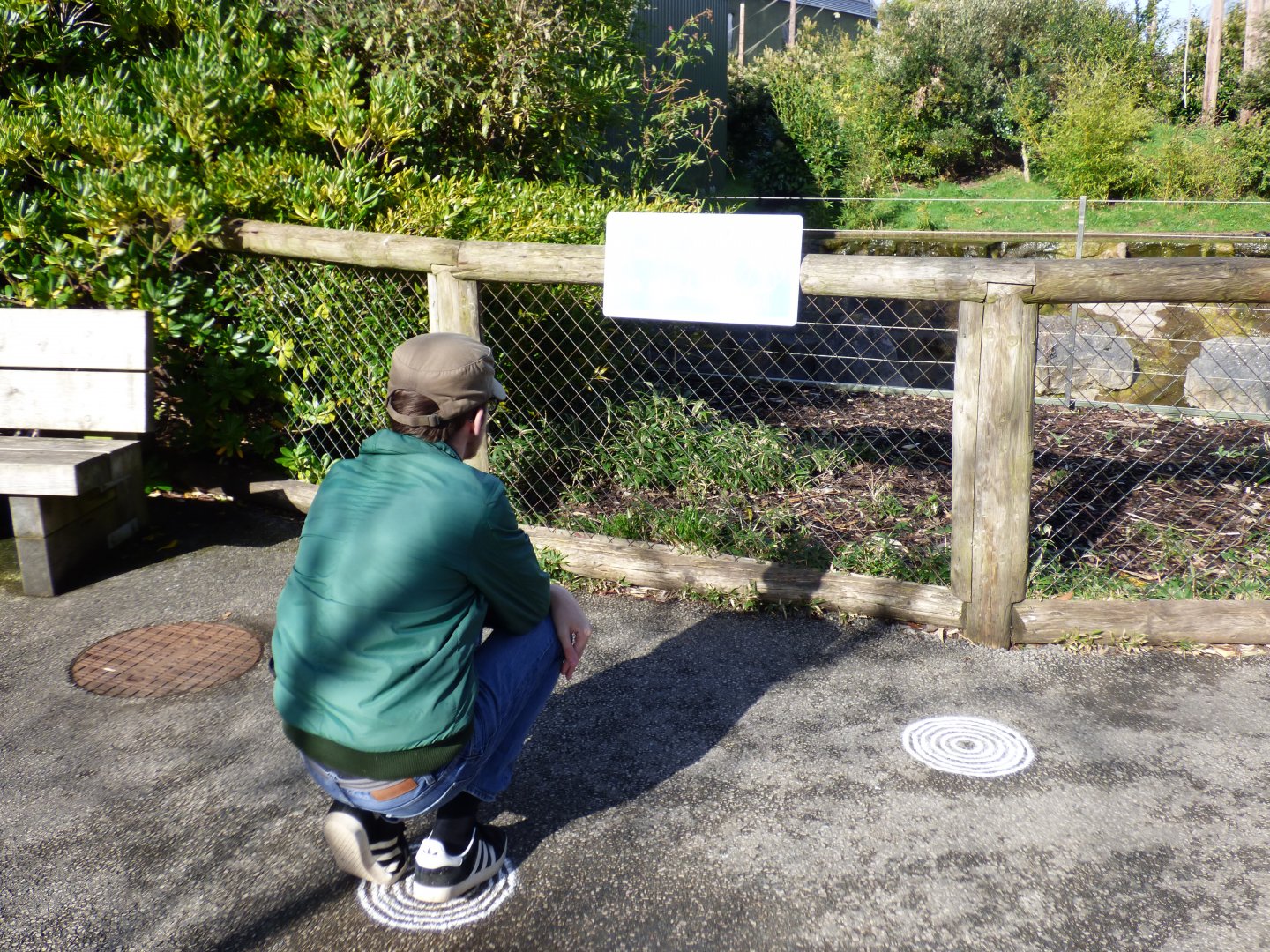 A ZooChatters Impression of a Gibbon