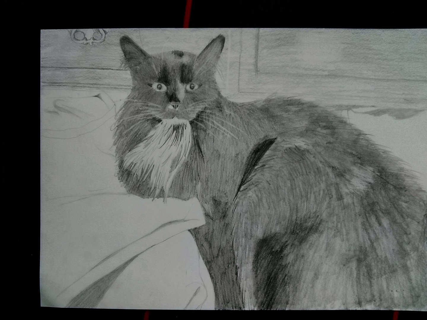 A3 cat drawn as a commercial