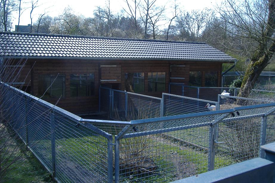 Aachen stork breeding pens