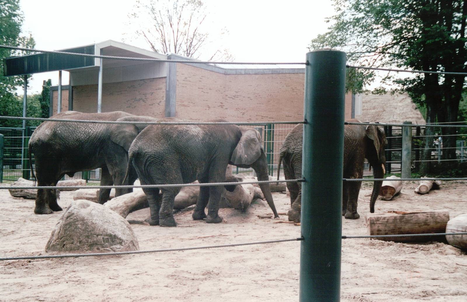 Aalborg Zoo 2002 - Part of the African Elephant exhibit
