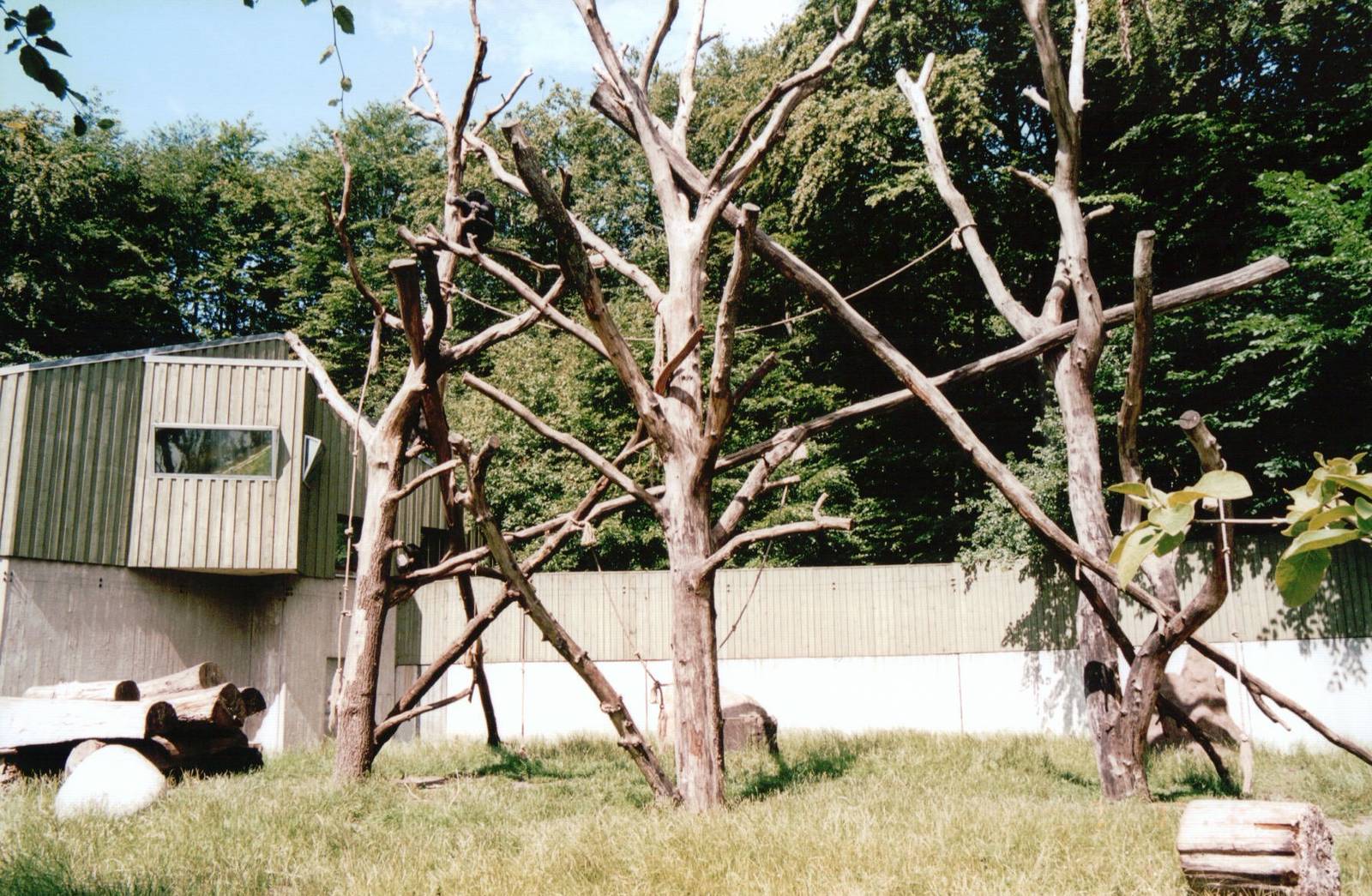 Aalborg Zoo 2002 - Part of the Chimpanzee exhibit