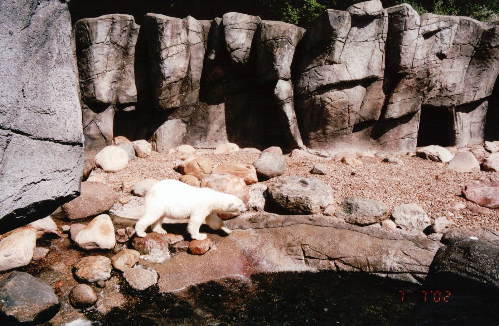 Aalborg Zoo 2002 - Part of the new Polar Bear exhibit