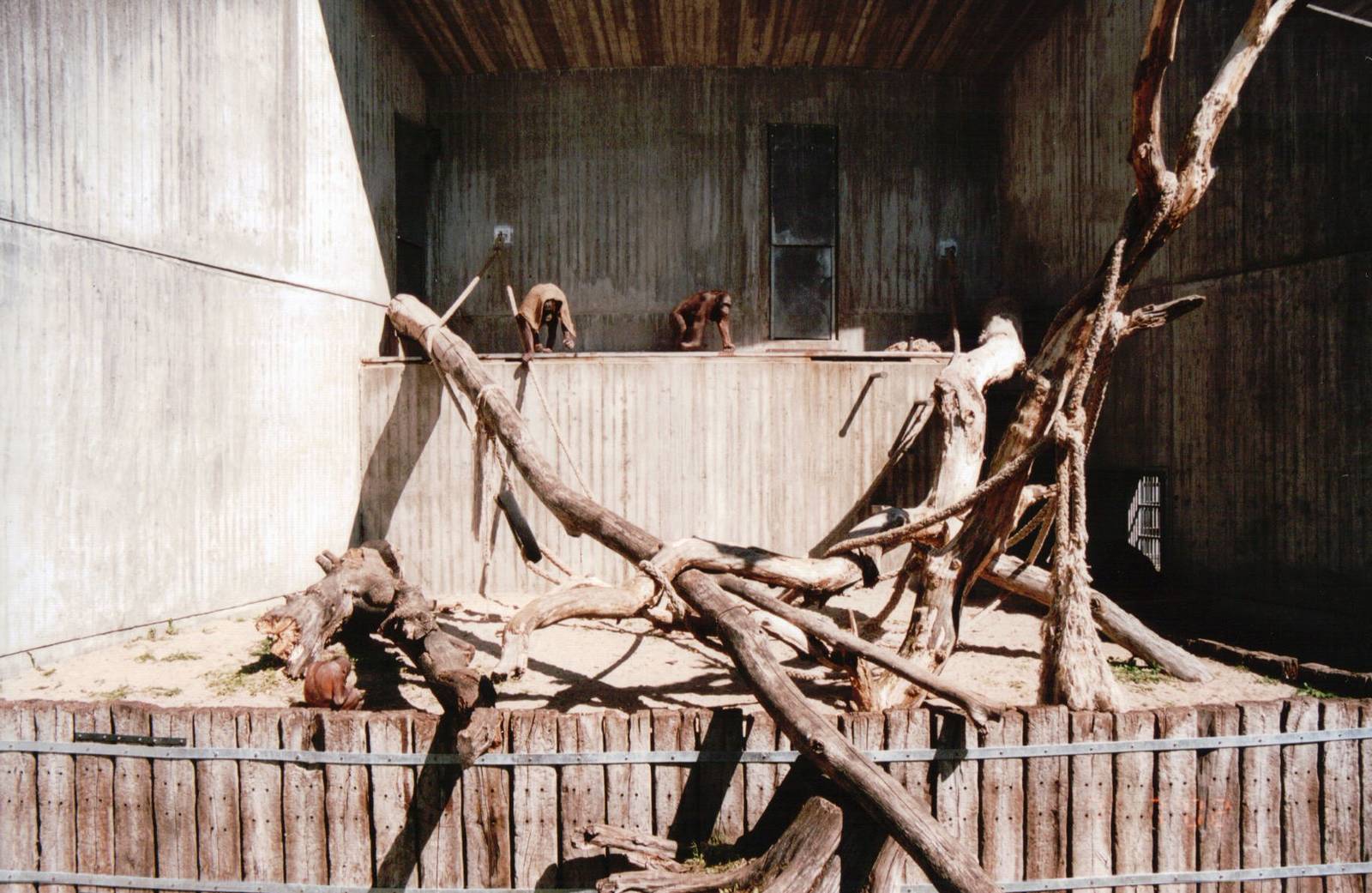 Aalborg Zoo 2002 - Second Orangutan exhibit
