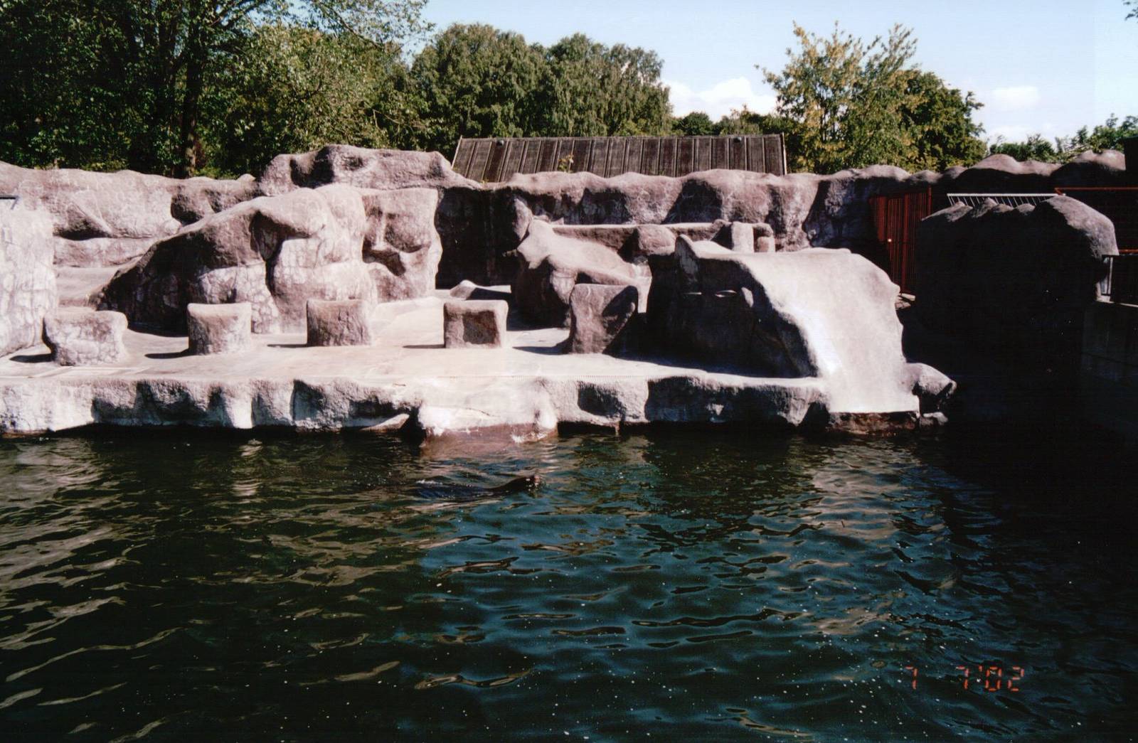 Aalborg Zoo 2002 - South American Sea Lion exhibit