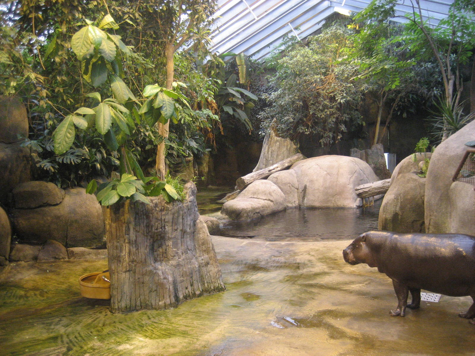 Aalborg Zoo - African tropical house