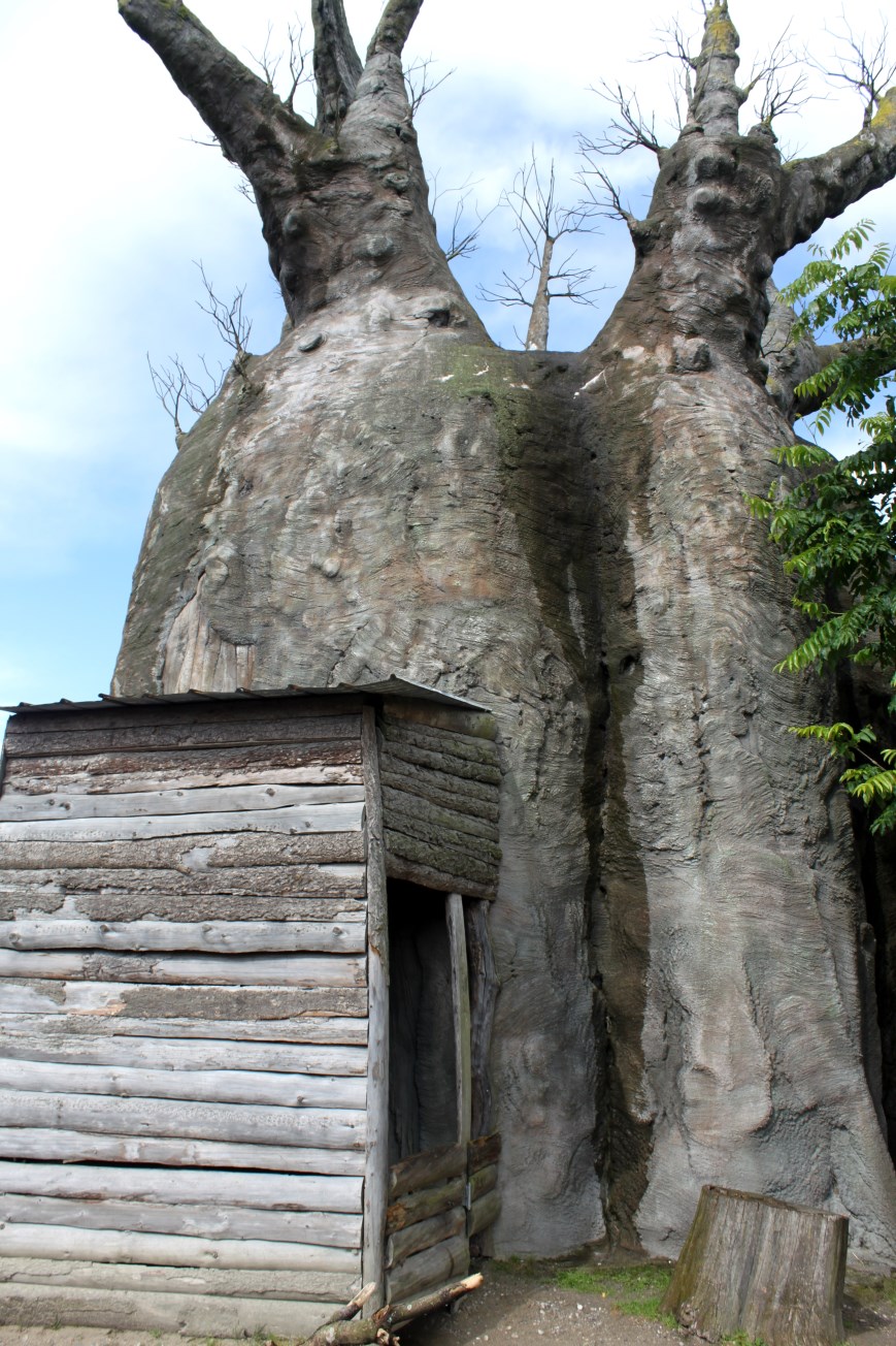 Aalborg Zoo - African Village (Baobab)