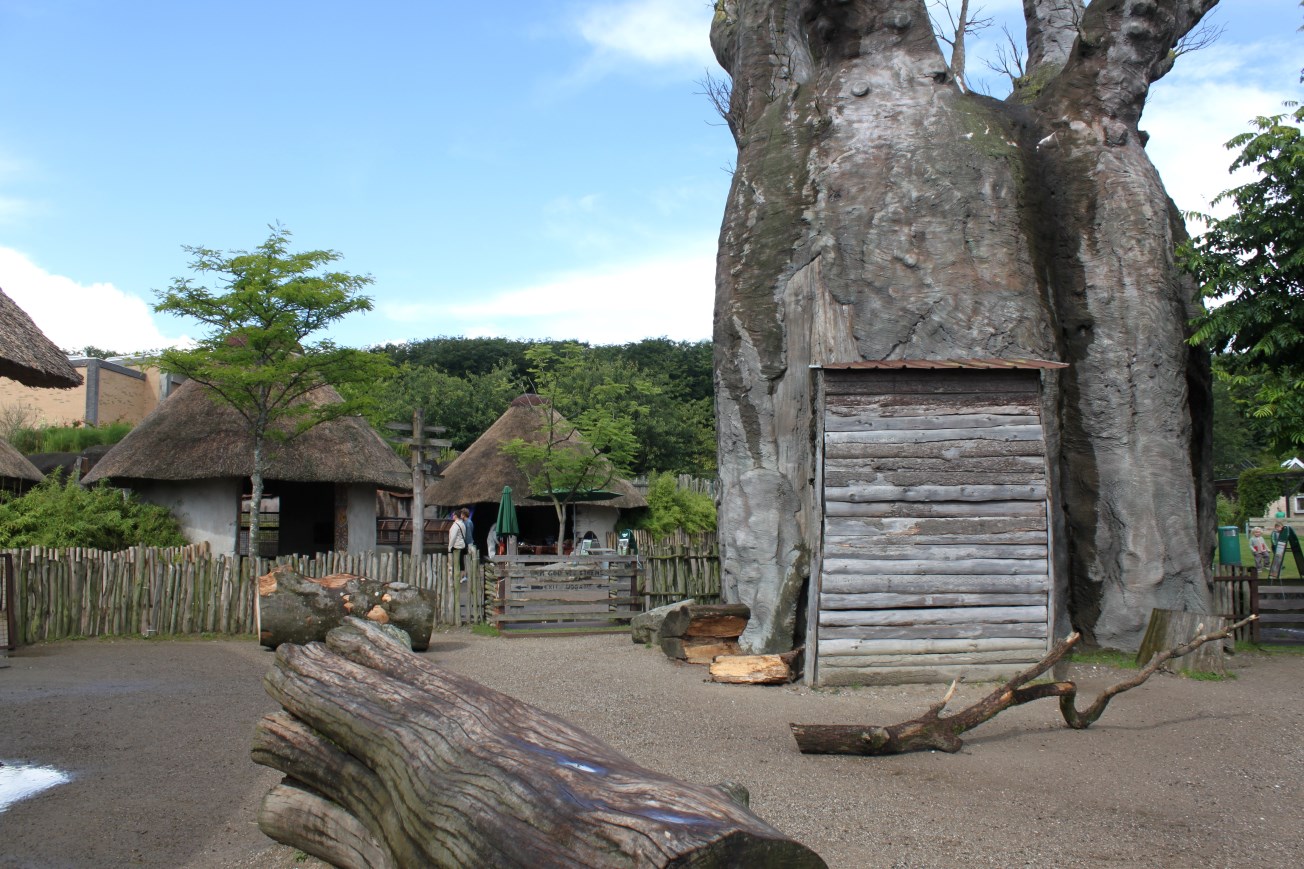 Aalborg Zoo - African Village (Goat)