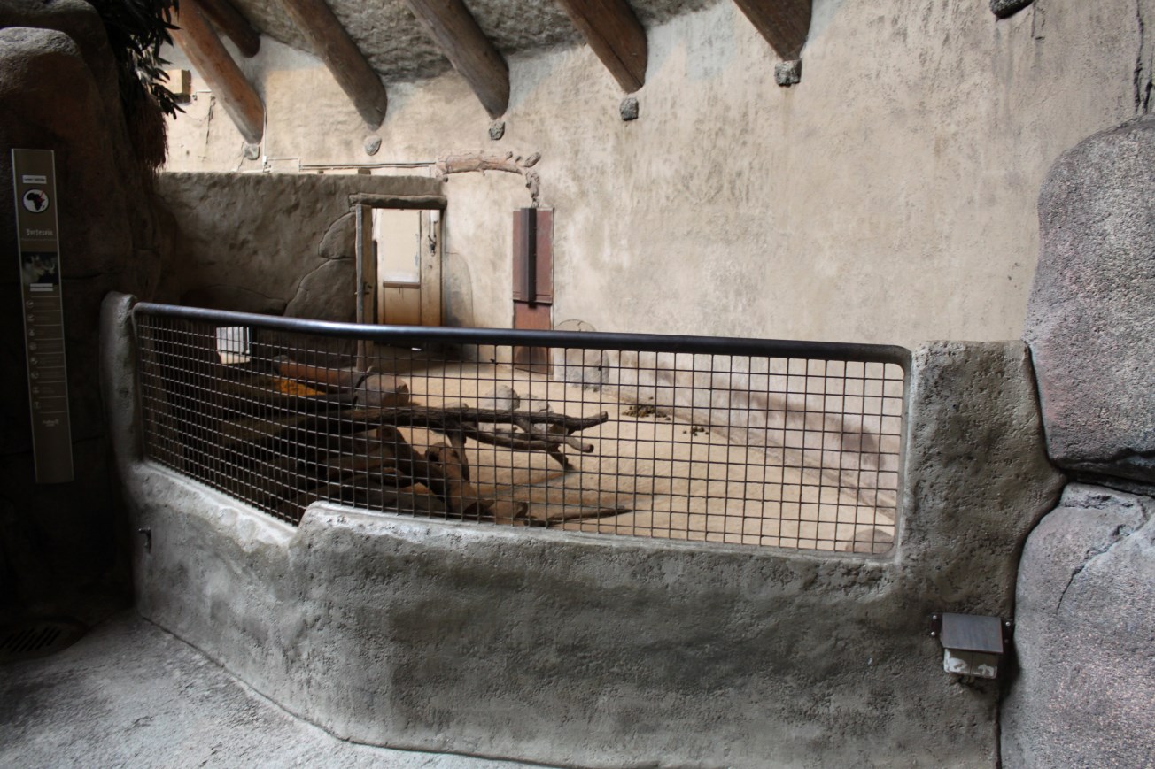 Aalborg Zoo - African Village (Savannah House)