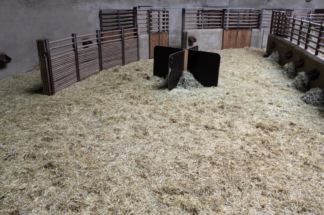 Aalborg Zoo - African Village (Savannah House)