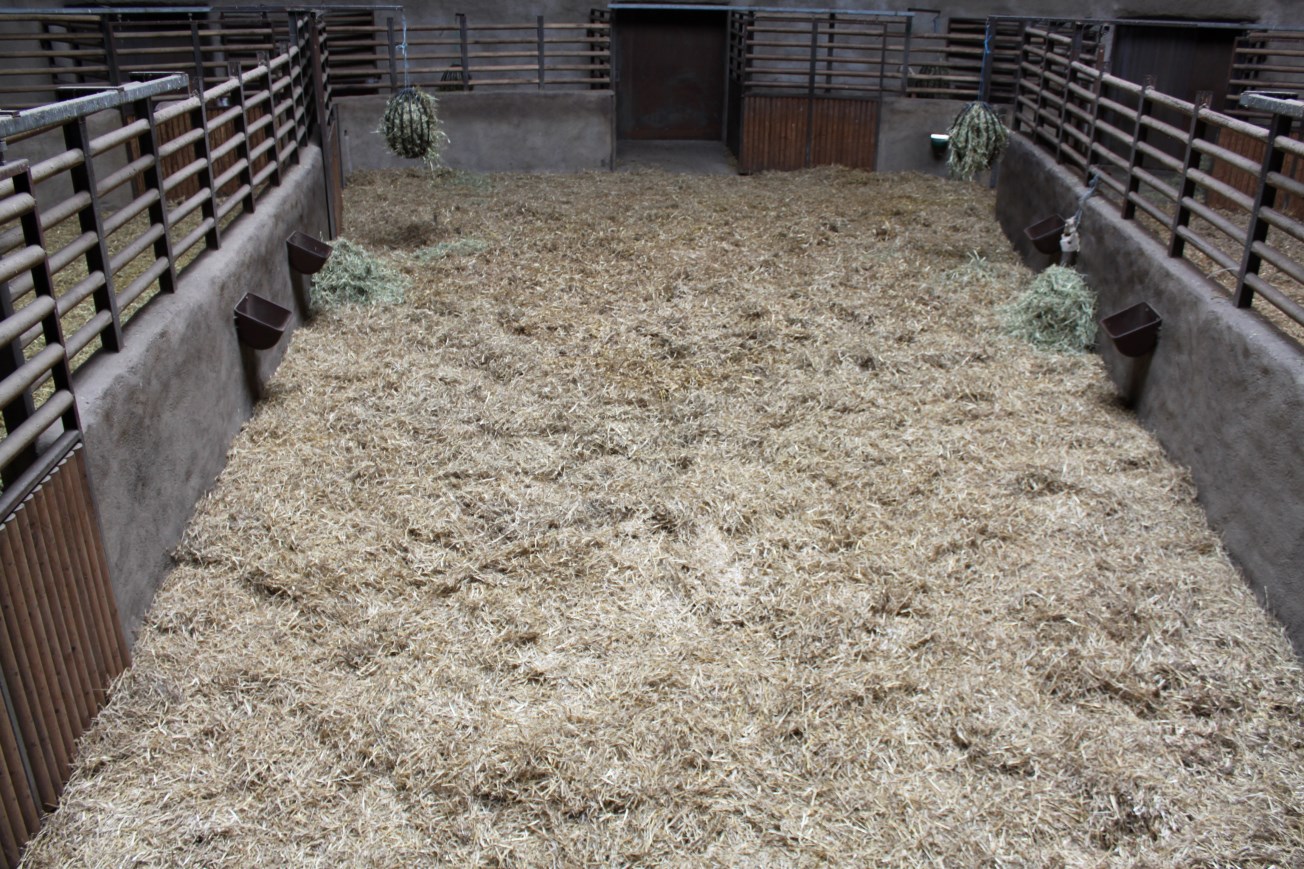 Aalborg Zoo - African Village (Savannah House)