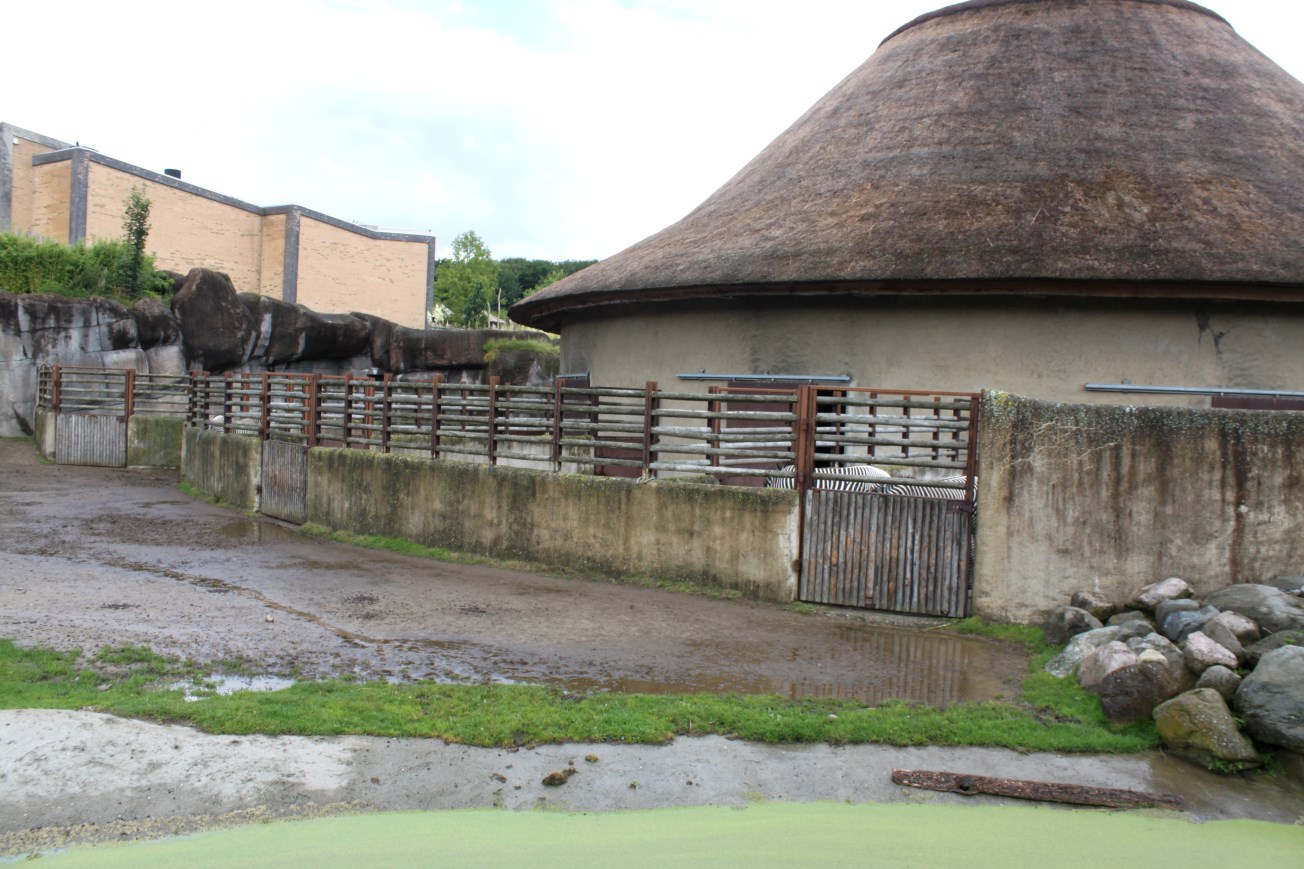 Aalborg Zoo - African Village (Savannah House)