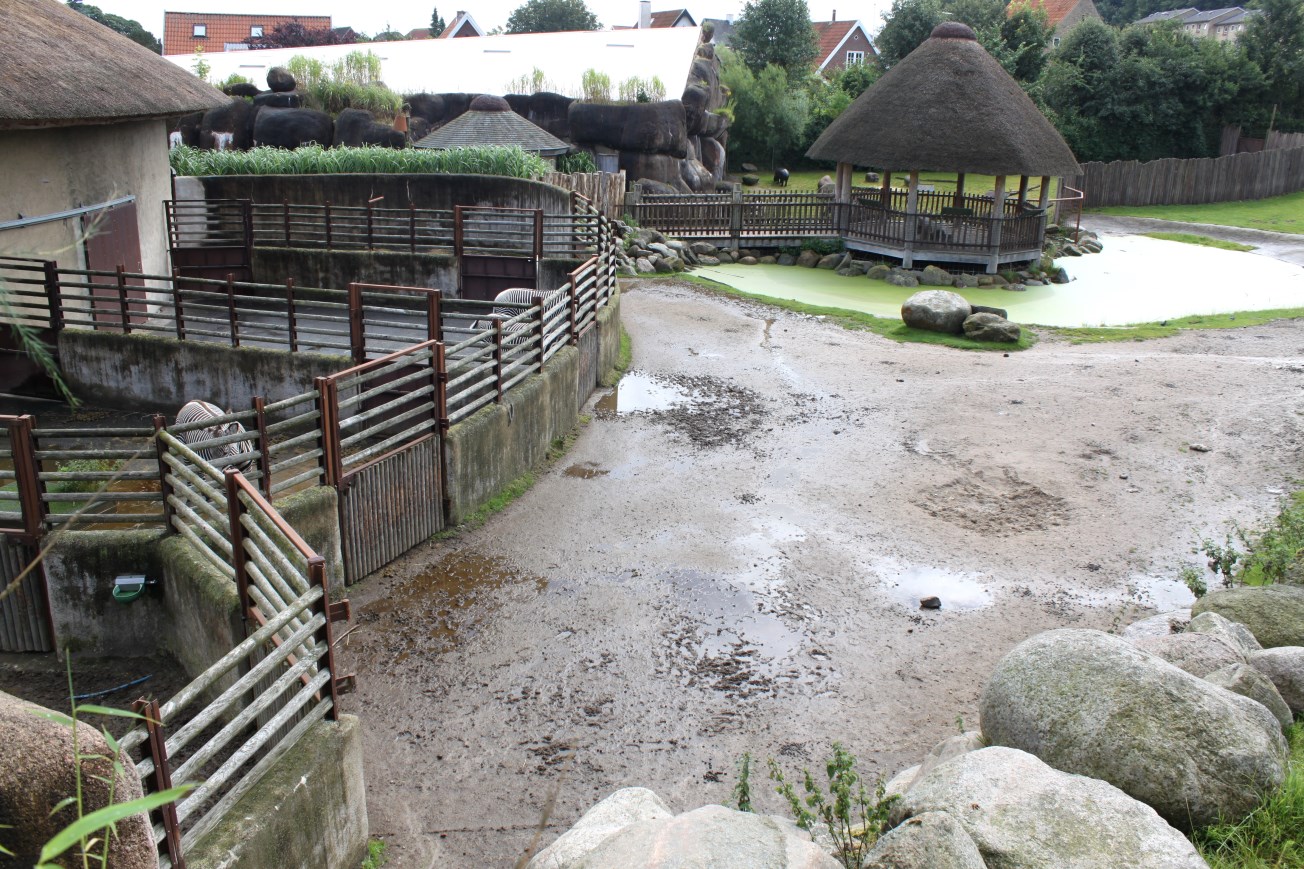 Aalborg Zoo - African Village (Savannah House)