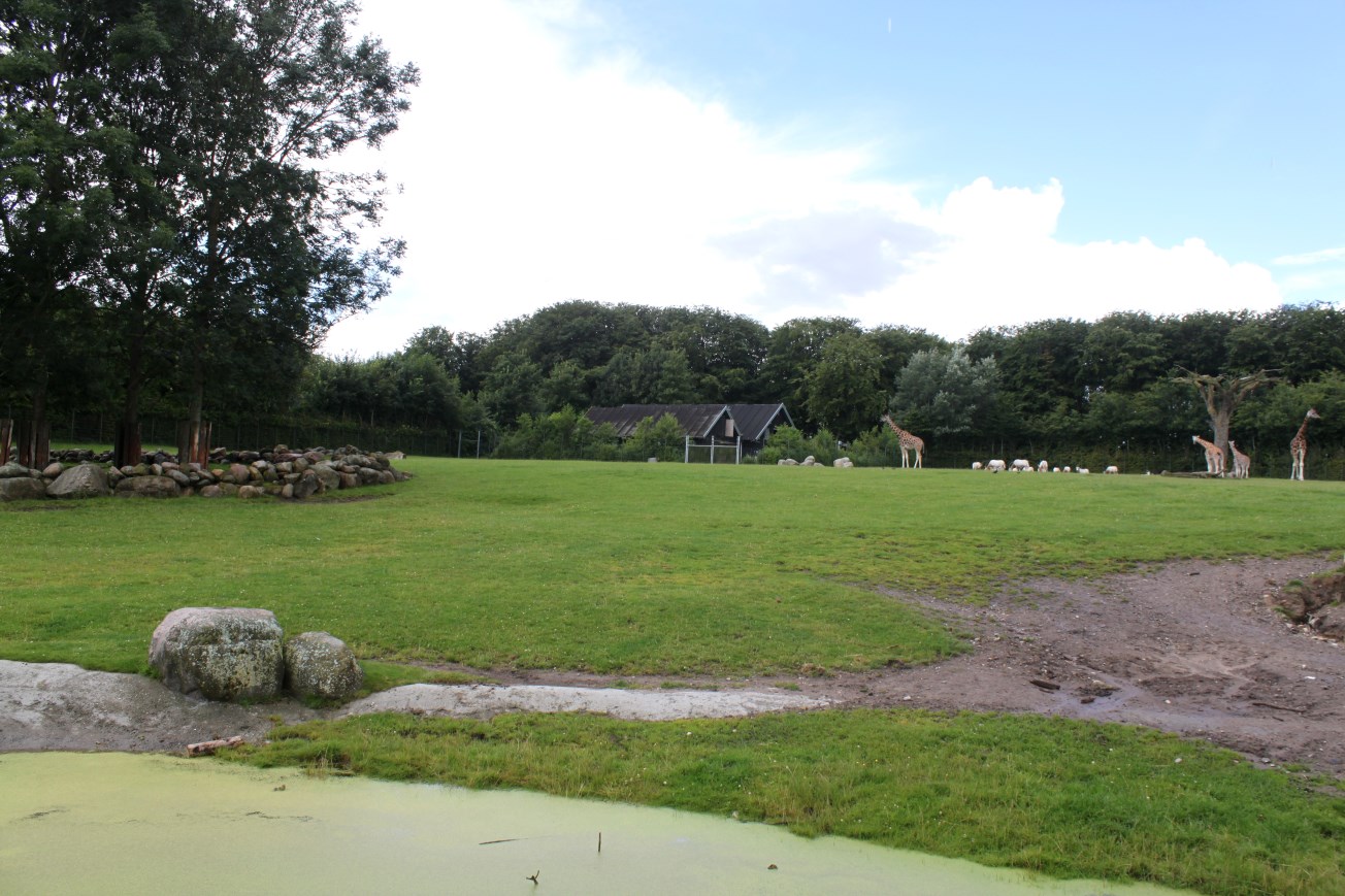 Aalborg Zoo - African Village (Savannah)
