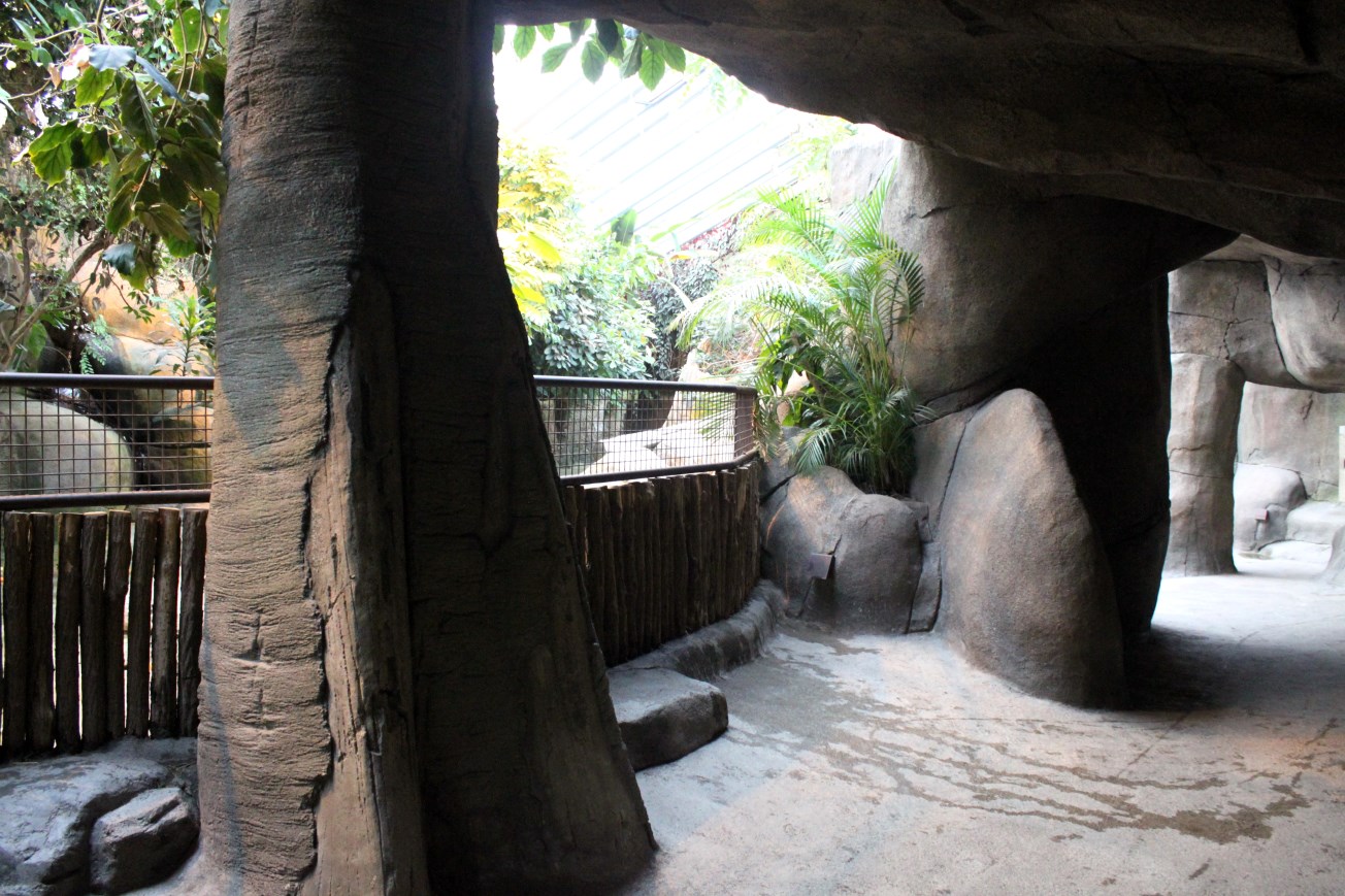 Aalborg Zoo - African Village (Tropical House)